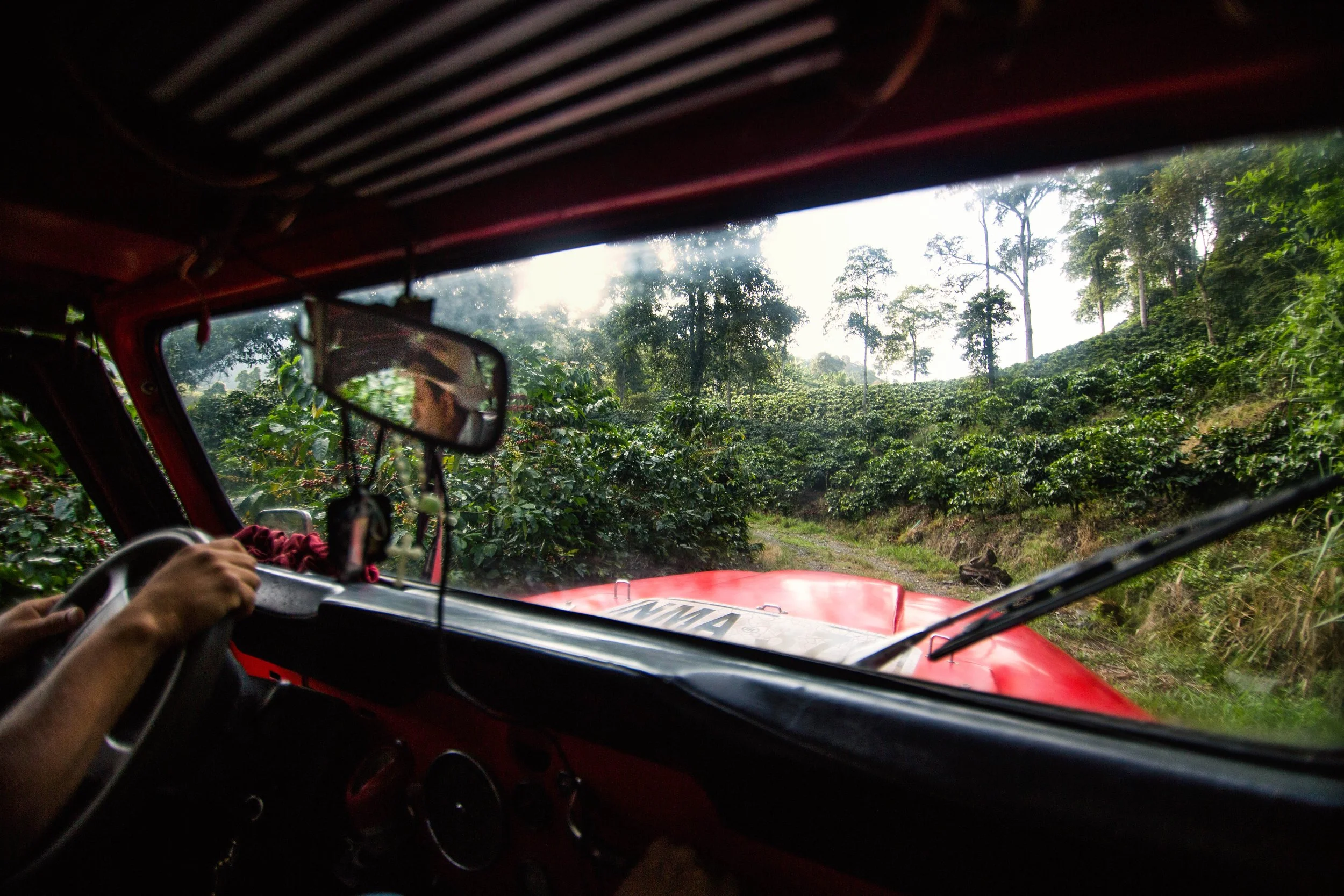 56. Cultivo desde el Willys.JPG