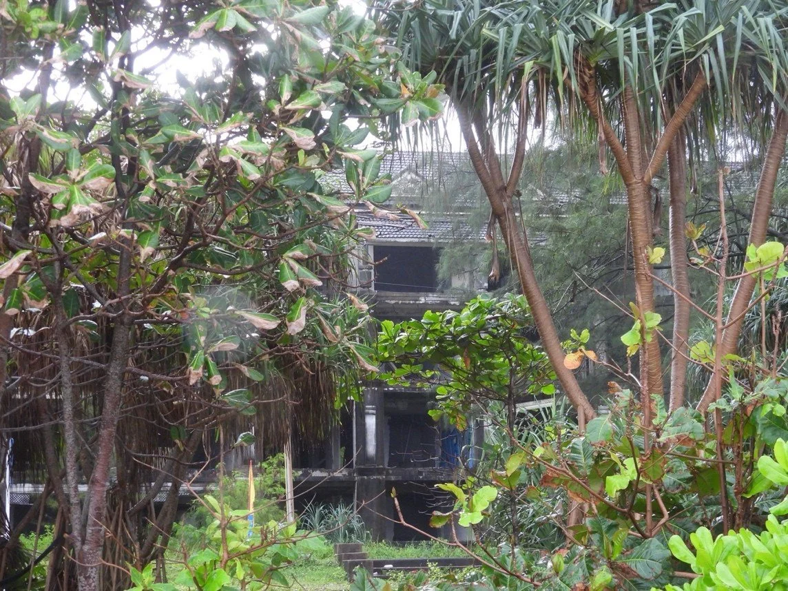 A tsunami, a girl, and the power of STEMM education