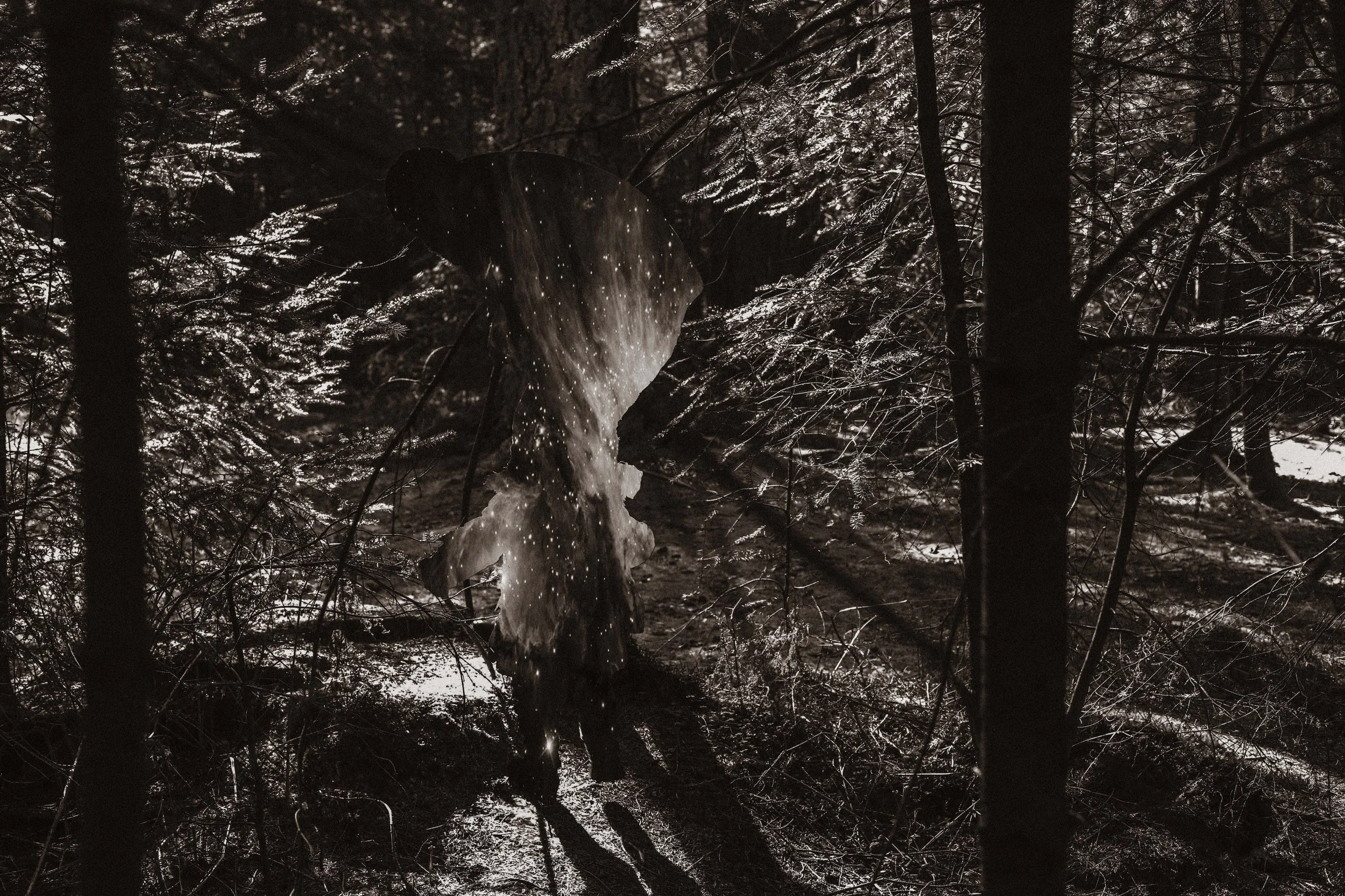 small res george and james.jpeg