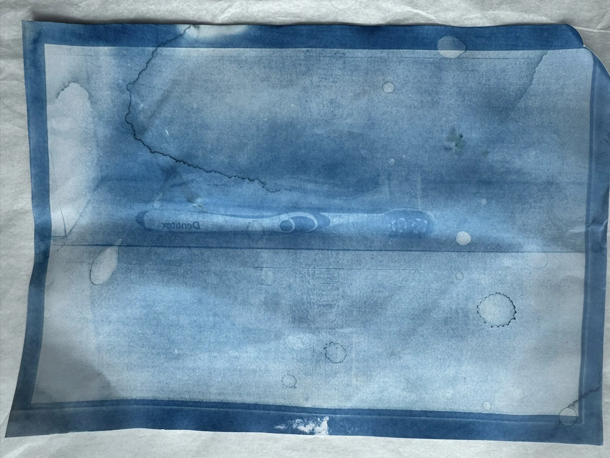 2fd8c3ca-b8ff-4b5a-92b1-bfe860b5b9b5.jpg