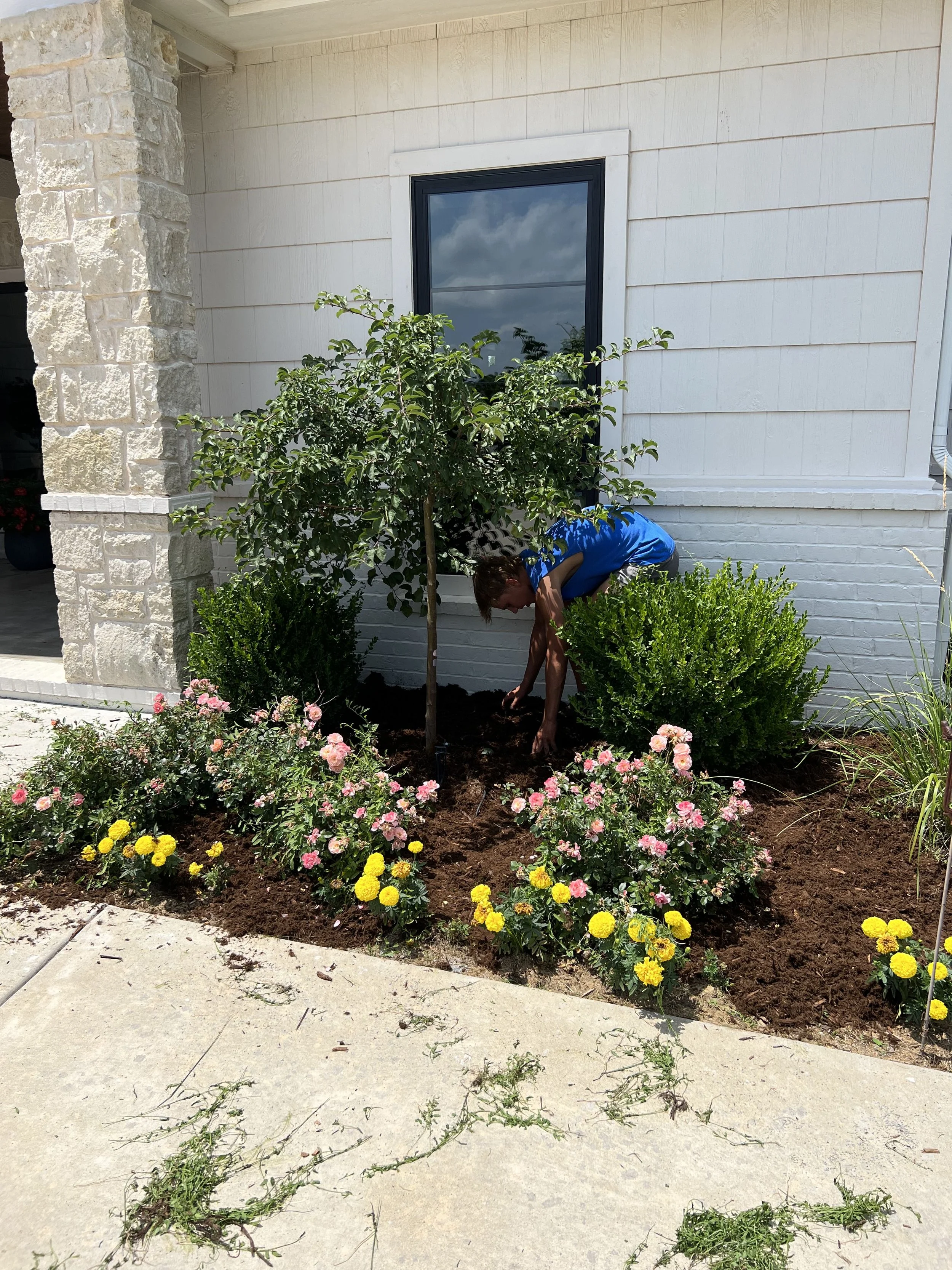 Person planting or working in a garden bed near a house with white siding, stone accents, and a dark-framed window, surrounded by various green bushes and colorful flowers.