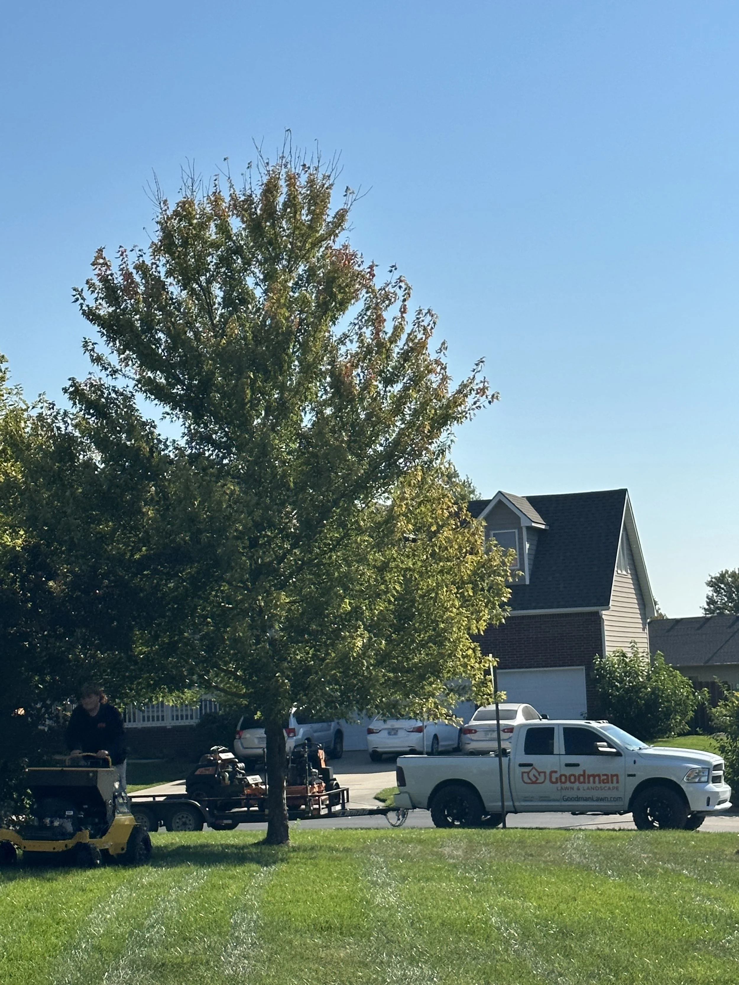 Residential neighborhood scene with a large tree, a white Goodman Lawn & Landscape truck, and a person working with lawn equipment on the lawn. Several parked cars are visible in the background, along with houses and a clear blue sky.