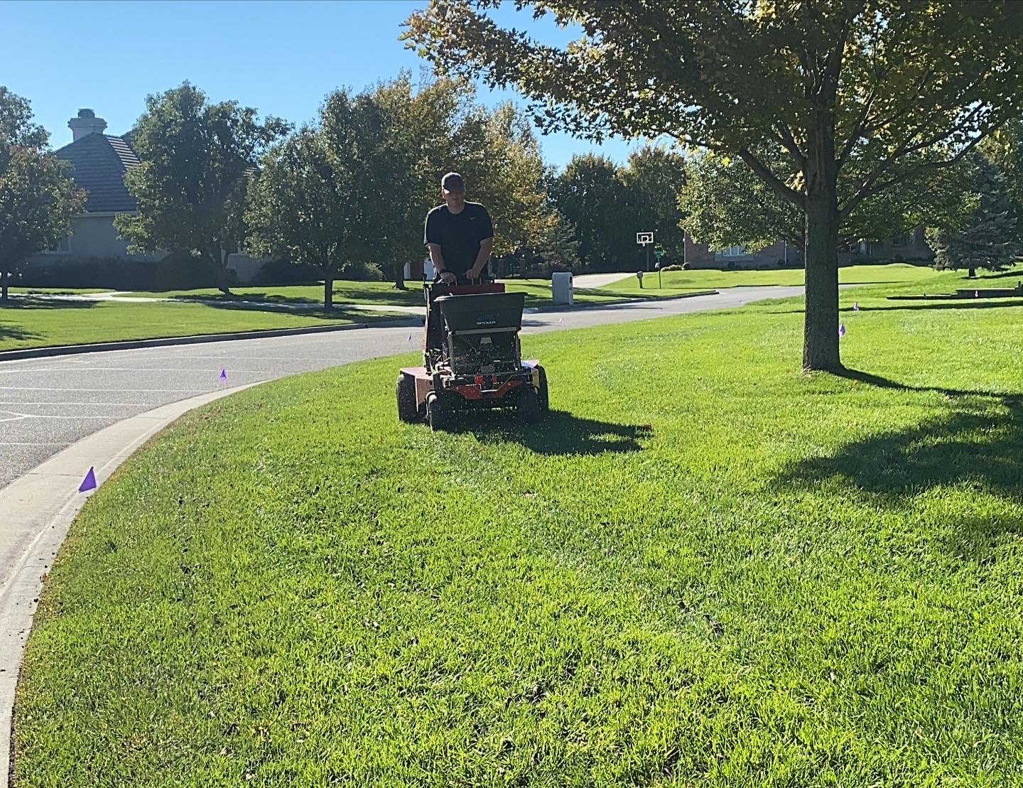 A man mowing the grass with a lawn mower near a sidewalk in a residential neighborhood with trees and houses.