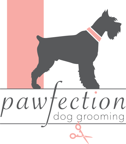 Welcome to Nat&#39;s Pawfection - A dog groomer covering areas such as Ely, Cambridge, St Ives, Huntingdon.