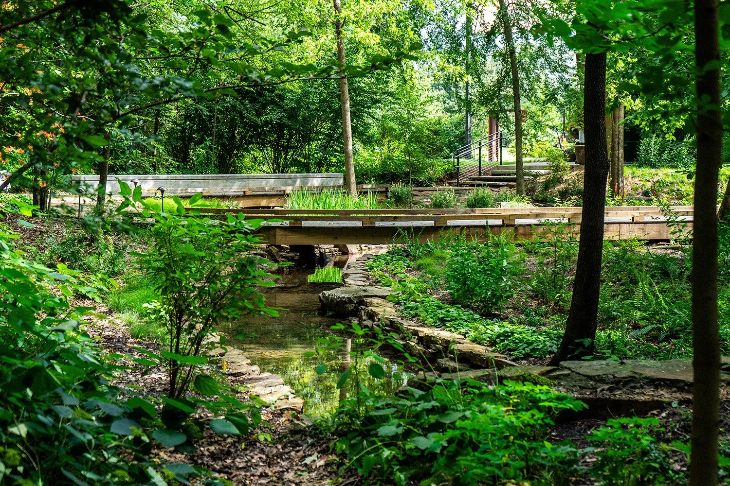 The Woodland Garden at MBG - Memphis, Tennessee