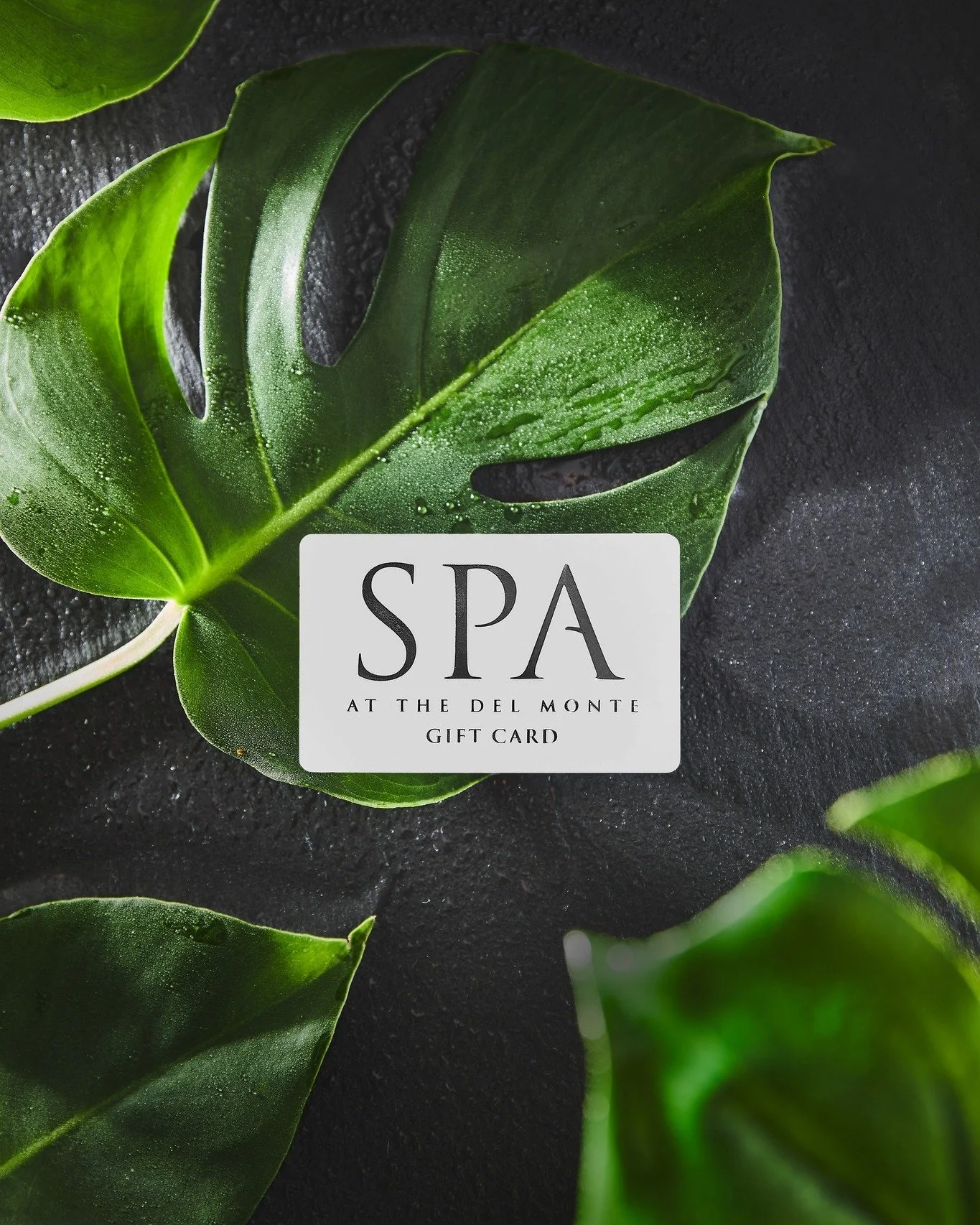 Give the Gift of Relaxation at The Spa at the Del Monte 🌿
&middot;
&middot;
Purchase a gift card online or in-store at our boutique today! 
&middot;
#delmontespa #skinhealth #spalife #spalife #spa #dayspa #pittsford #skincare #shoplocal #treatyourse