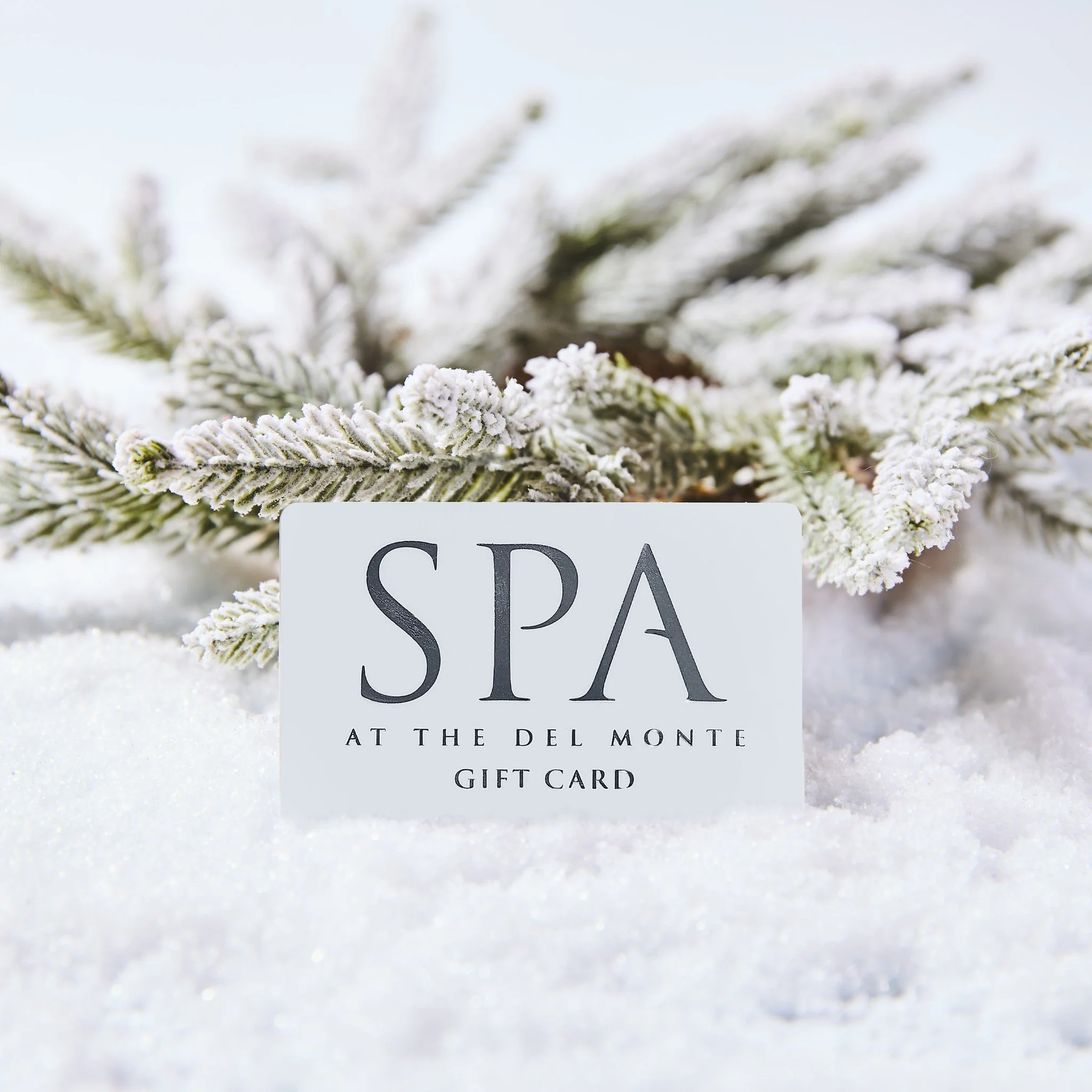 It&rsquo;s beginning to look a lot like&hellip; spa season. ❄️✨
&middot;
&middot;
Treat yourself or someone you love to a relaxing winter reset with a spa gift card!
&middot;
#delmontespa #skinhealth #spalife #spalife #spa #dayspa #pittsford #skincar