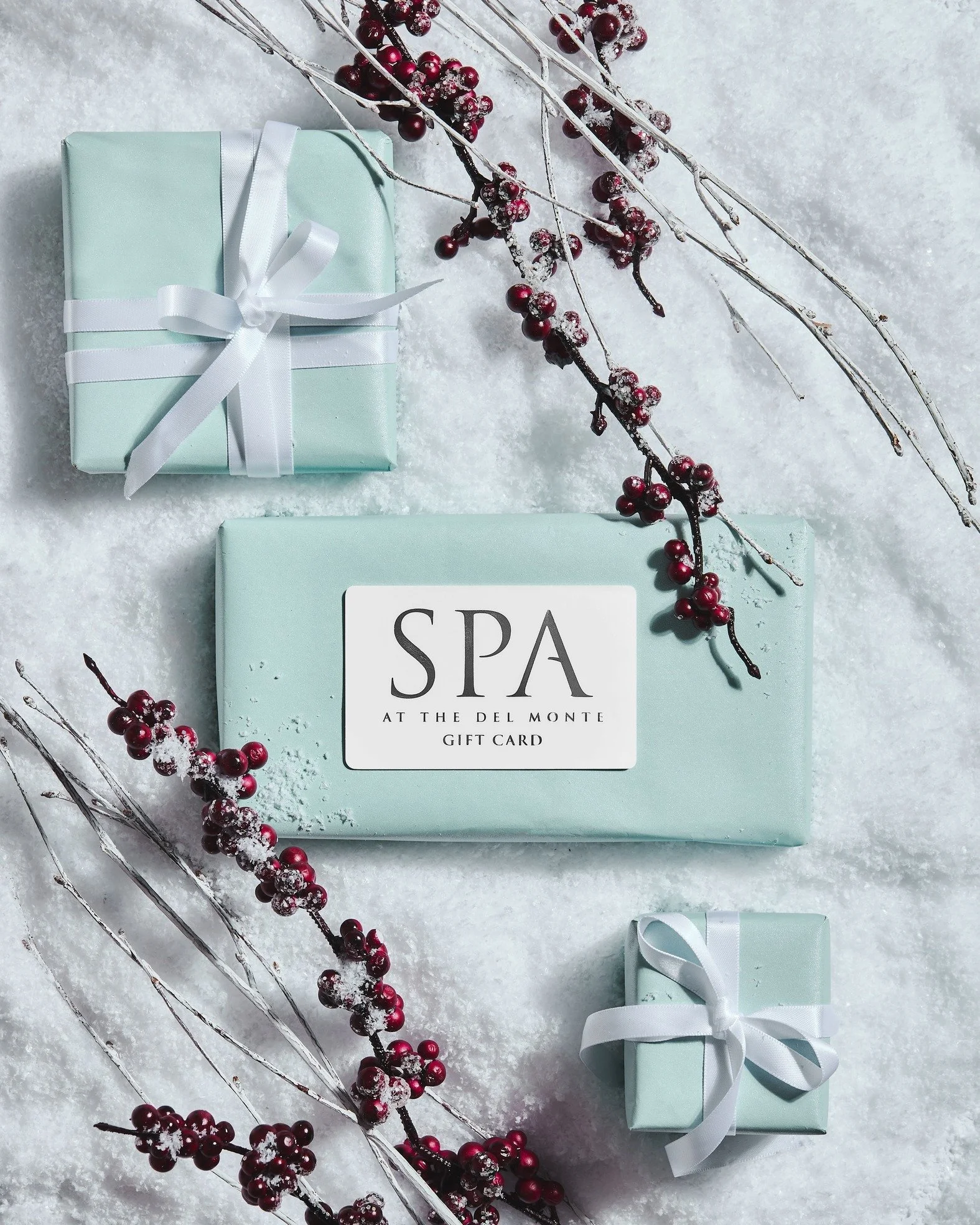 Still searching for the gift they&rsquo;ll actually love?
A Spa at the Del Monte gift card never disappoints. 🎁
&middot;
&middot;
Purchase yours today in-store or online!
&middot;
#delmontespa #skinhealth #spalife #spalife #spa #dayspa #pittsford #s