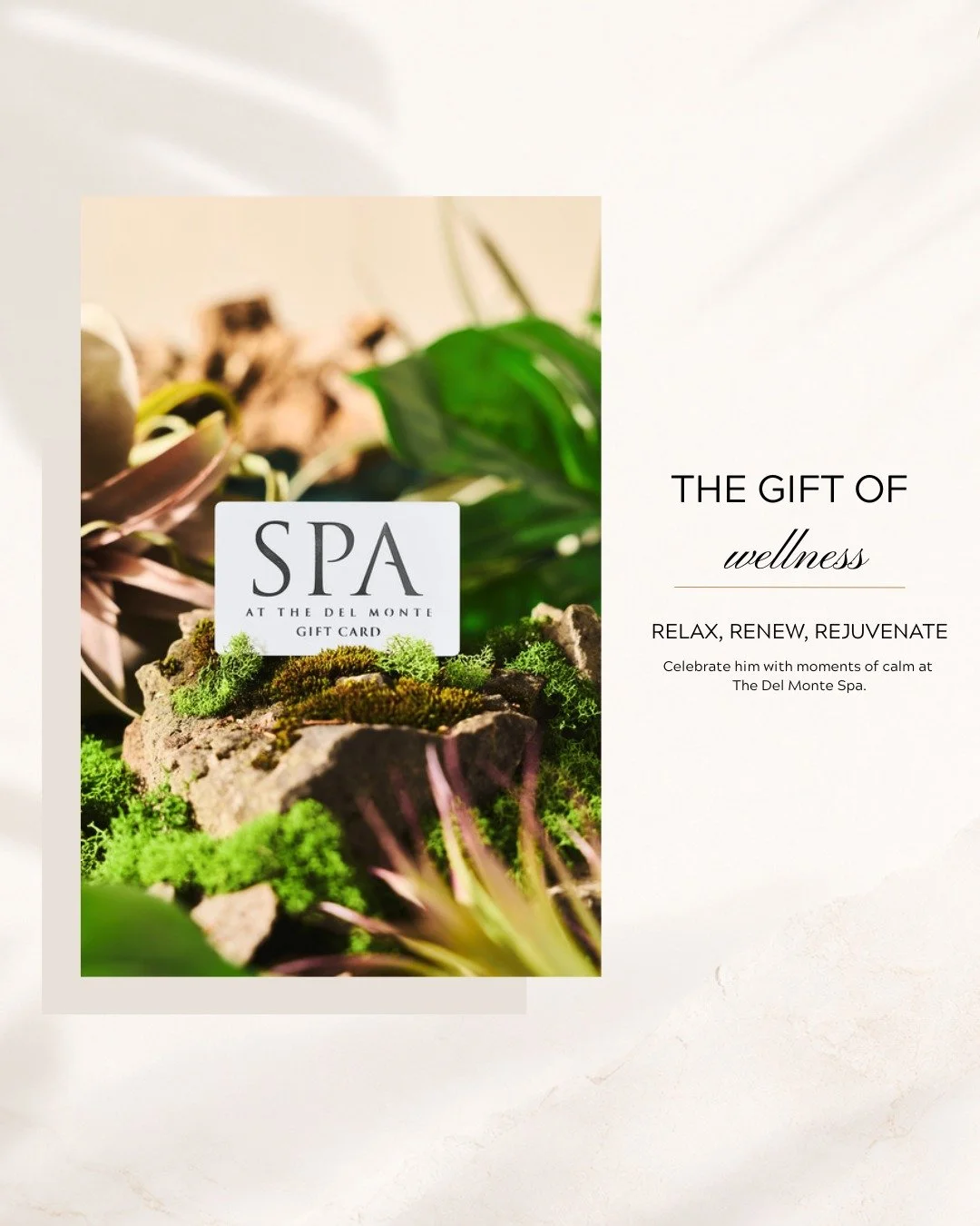 Father&rsquo;s Day forecast: 100% chance of relaxation 🌿✨

Treat him to a well-earned spa day at The Del Monte Spa. Purchase gift cards online or in-store today.
.
.
 #delmontespa #pittsford #spa #rochesterny