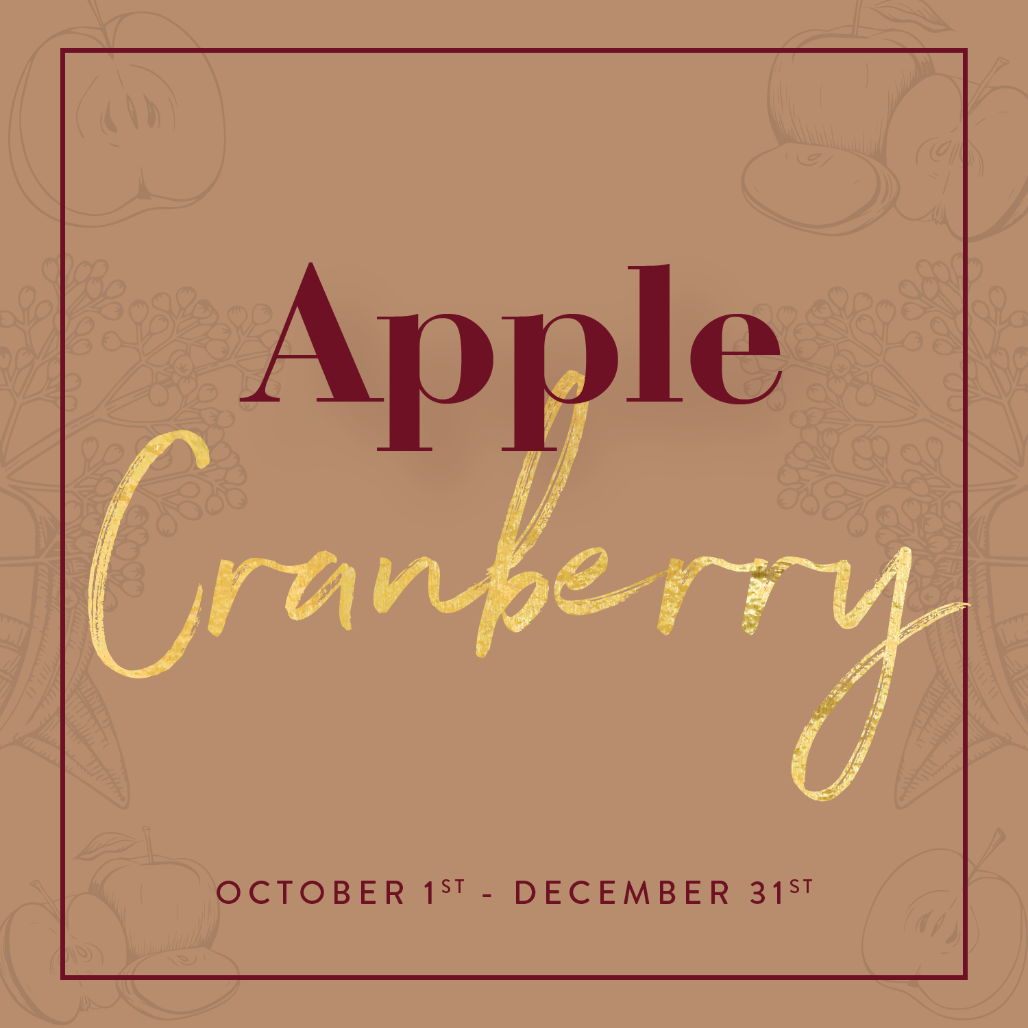 Specials The Spa At The Del Monte specials-the-spa-at-the-del-monte