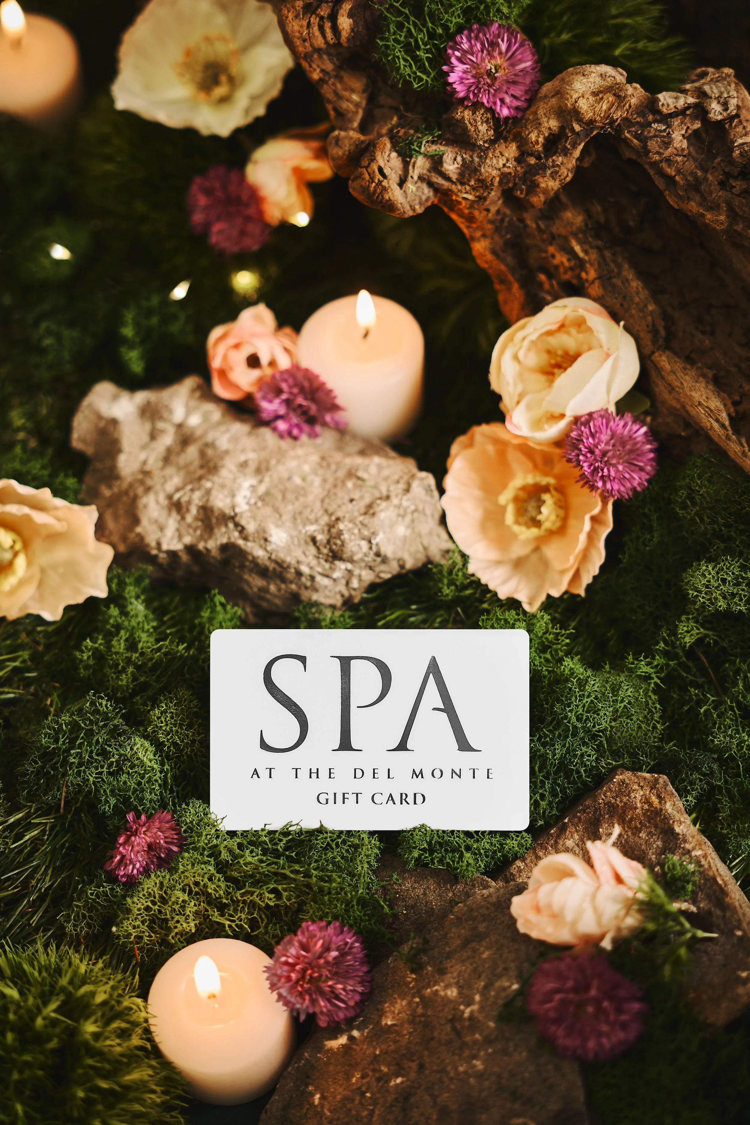 Spa Gift Card laying in a moss fairy garden setting