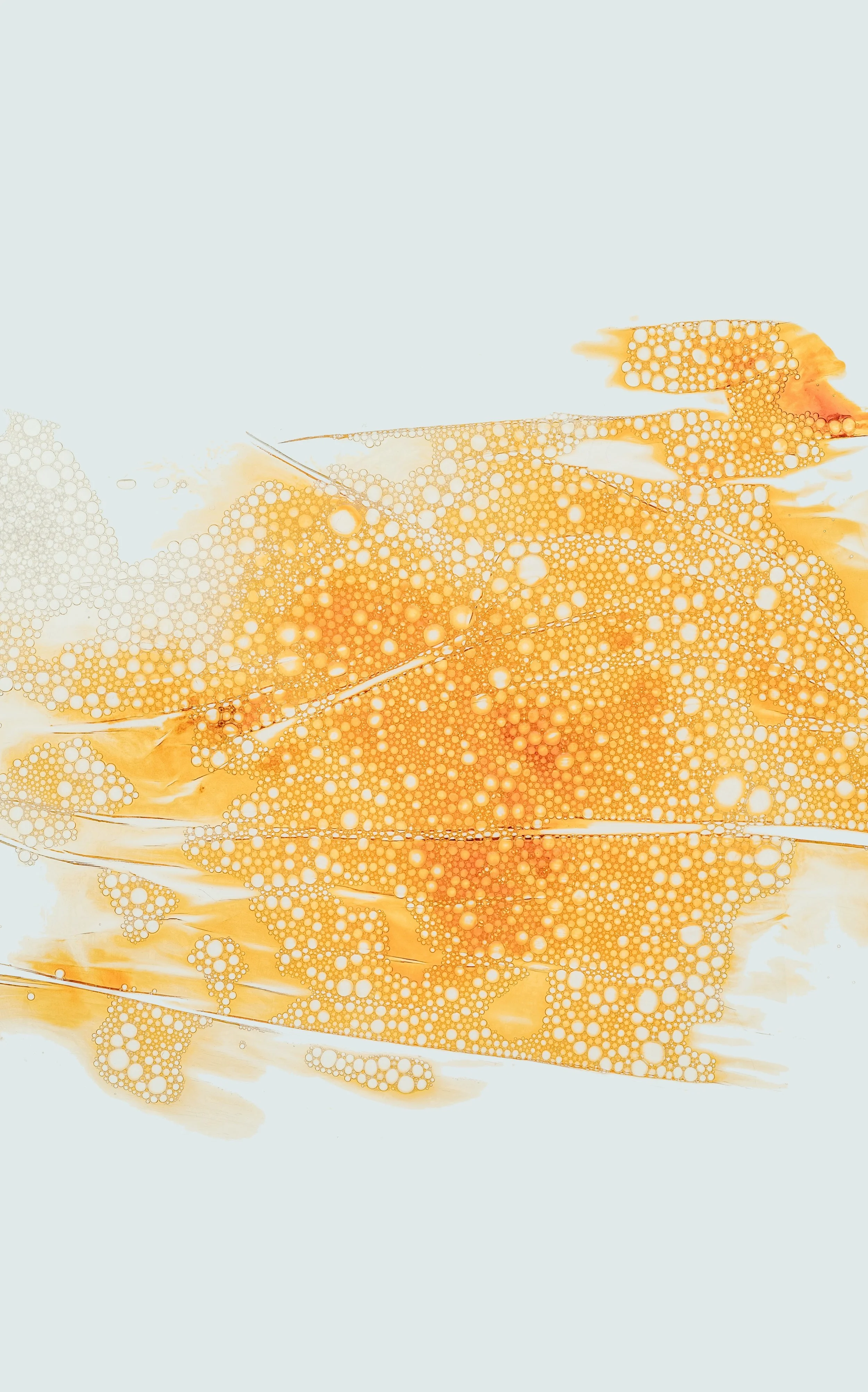 How Emotions Operate