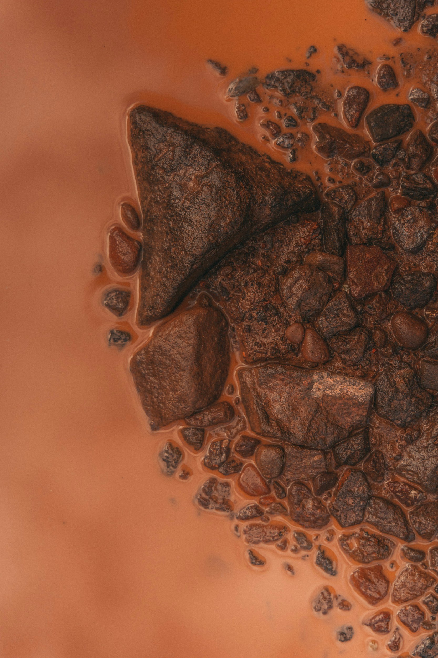 Somatic Practice London Mara Nicola