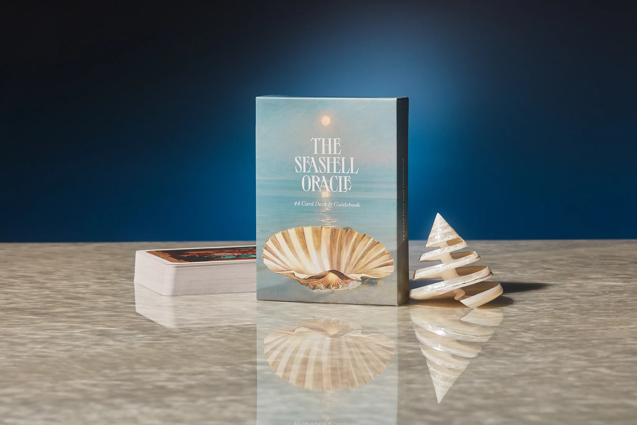 seashell 4.webp