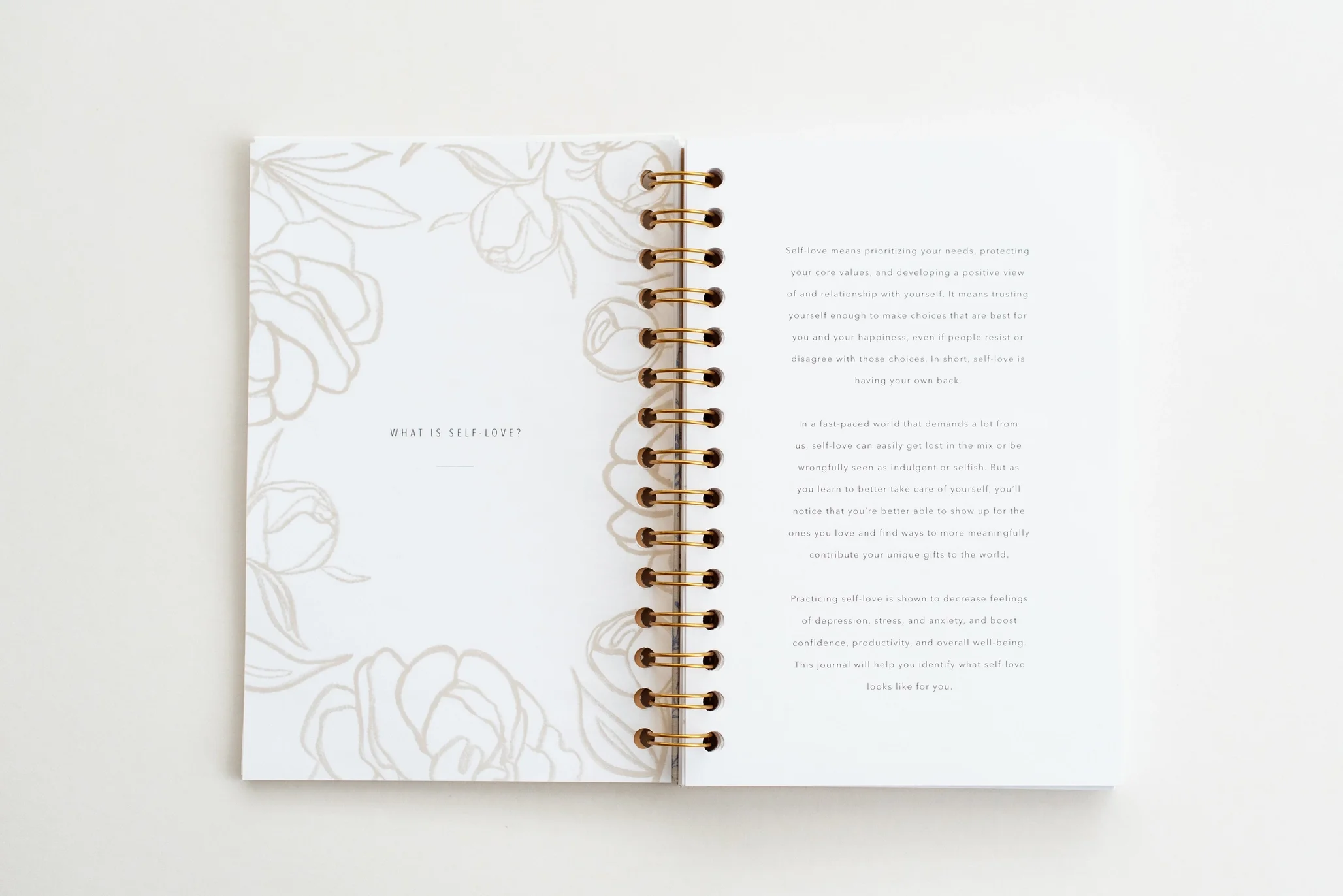 a self love journal inside 2.webp