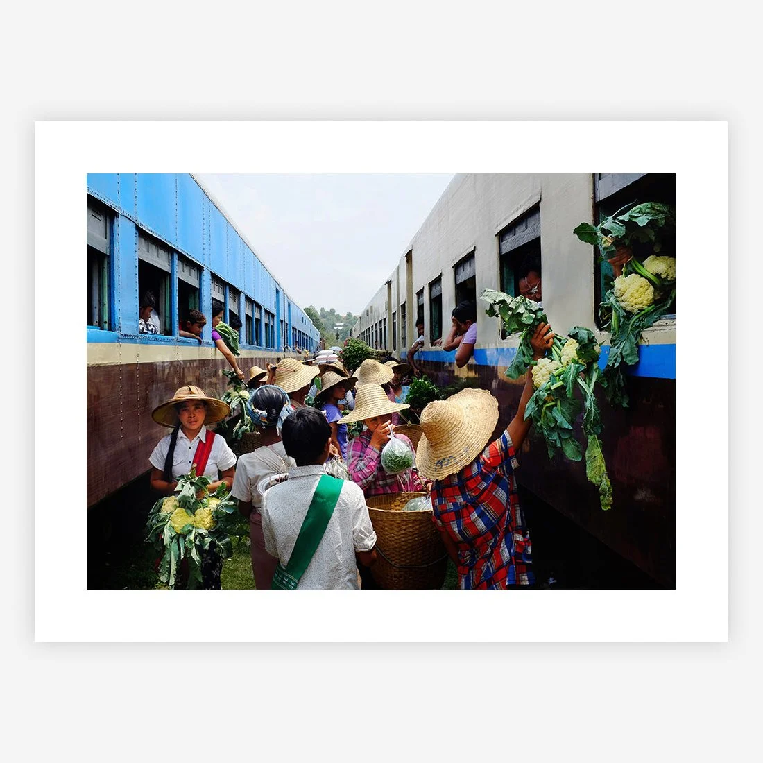 Cauliflowers, Burma