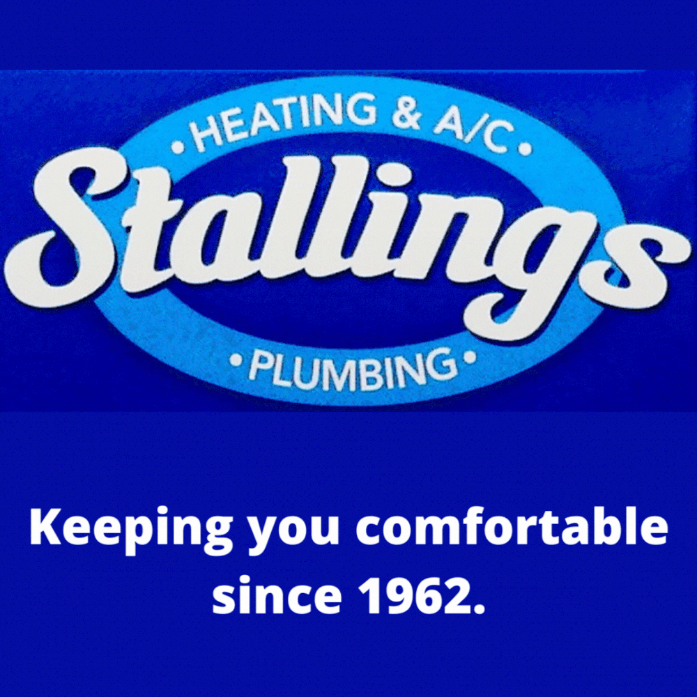 Kinston/Lenoir County 8U AllStars Secure District 4 Championship Title