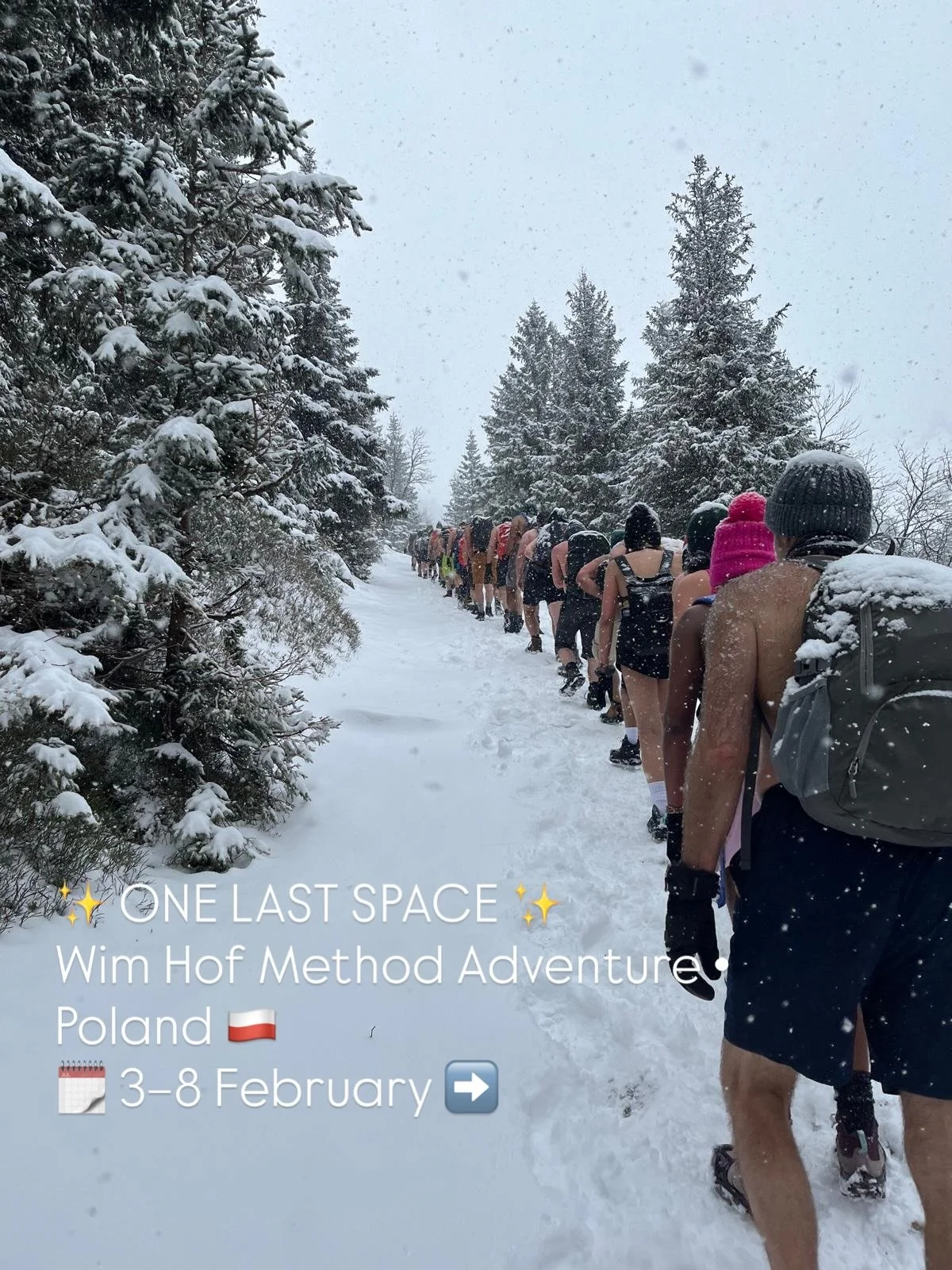 ✨ ONE LAST SPACE ✨
Wim Hof Method Adventure &bull; Poland 🇵🇱
🗓 3&ndash;8 February

Cold exposure. Breathwork. Snowy mountains.
A chance to disconnect from the noise and reconnect to yourself.

&ldquo;They made the experience EPIC. Kept us SAFE, de