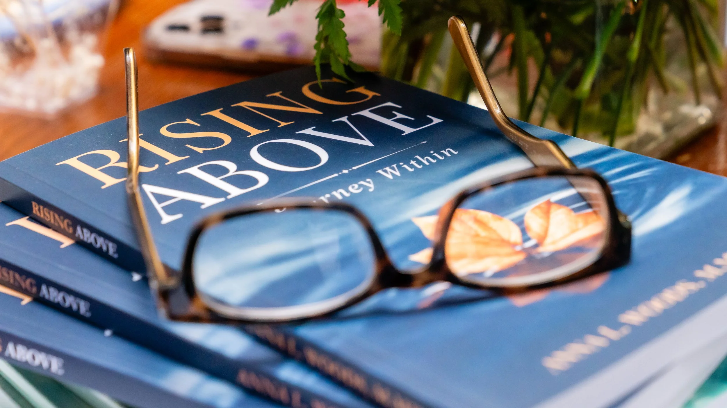 Rising Above Journey With Book Release 