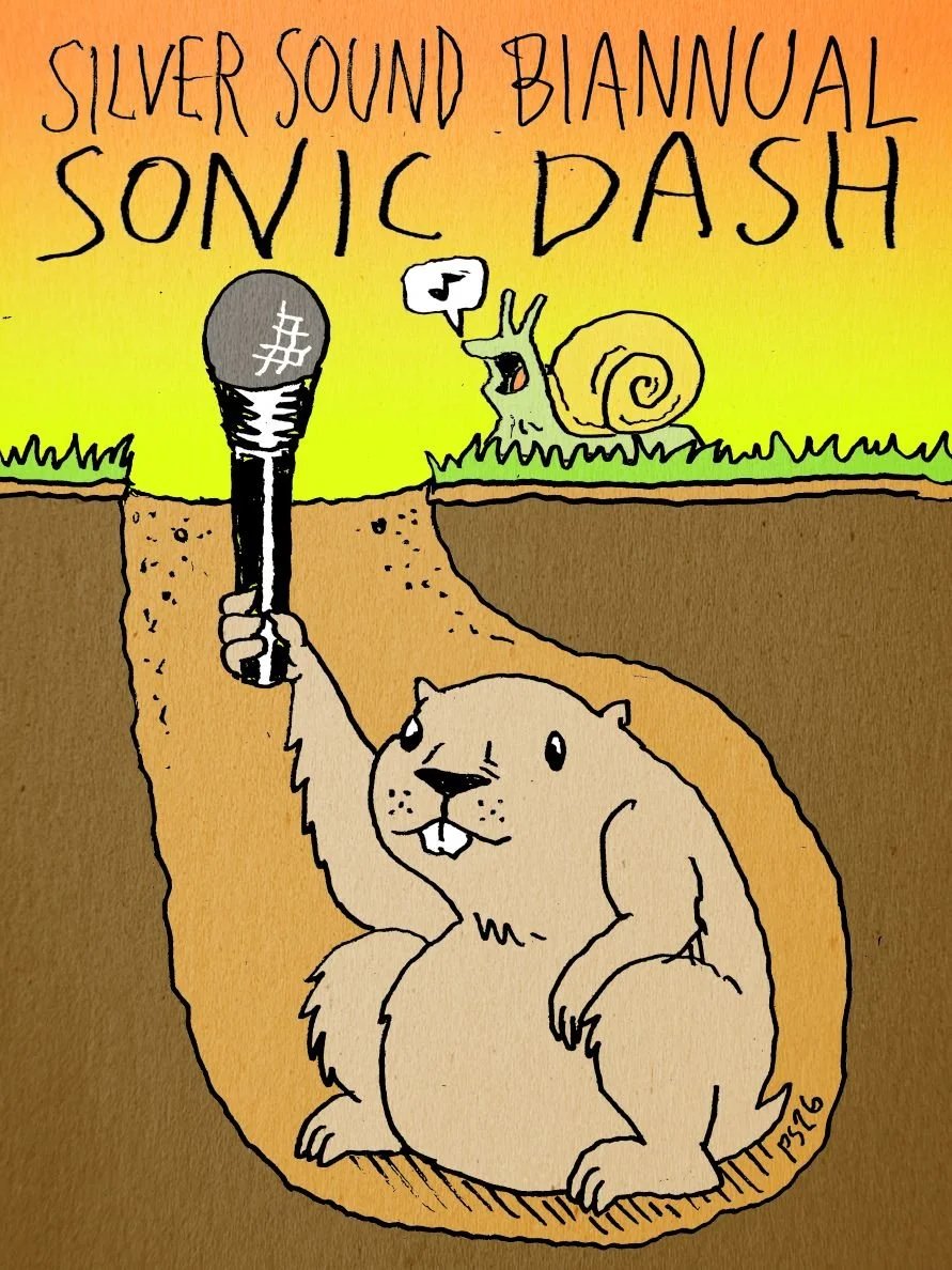 Silver Sound Biannual Sonic Dash