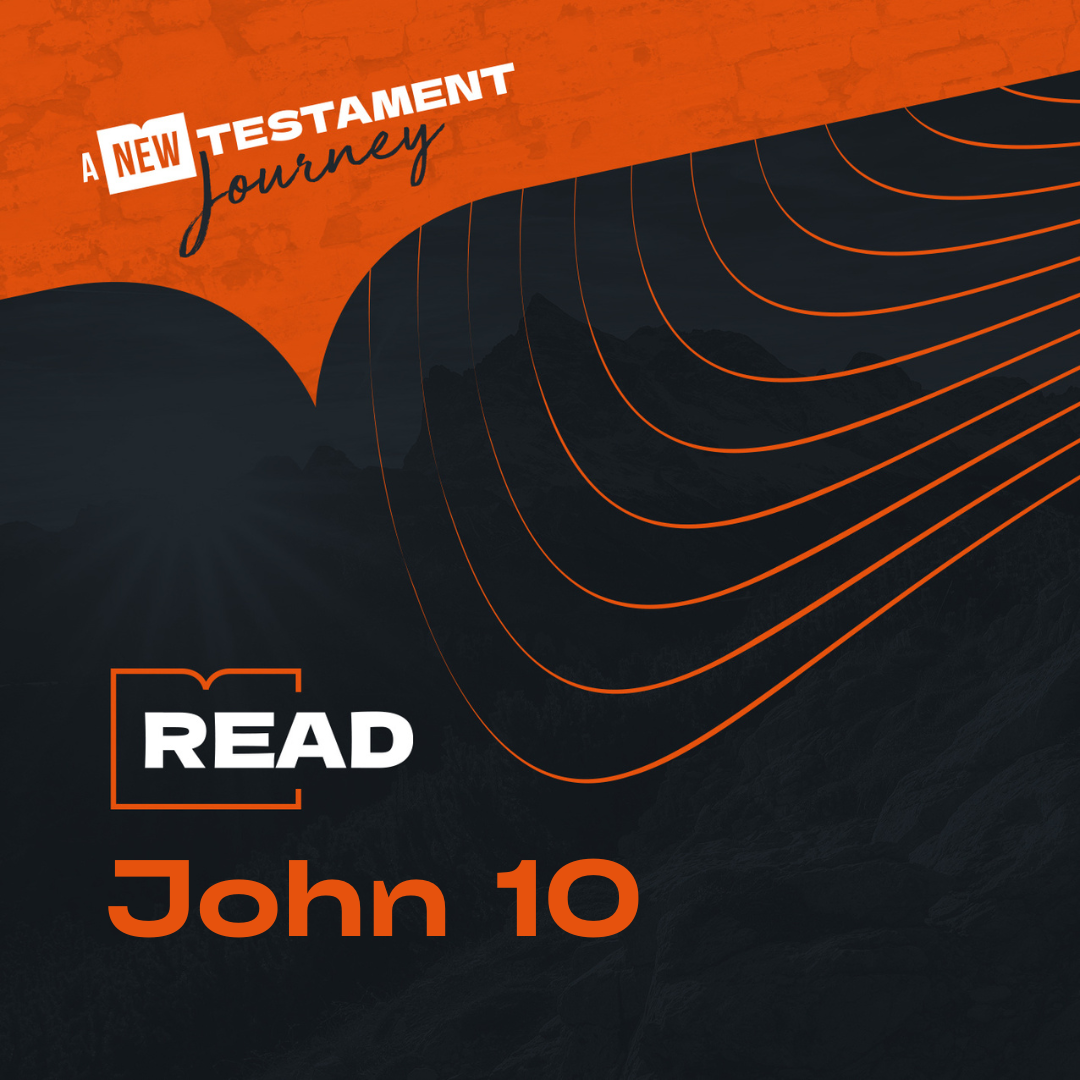 Thursday 2nd November - John 10
