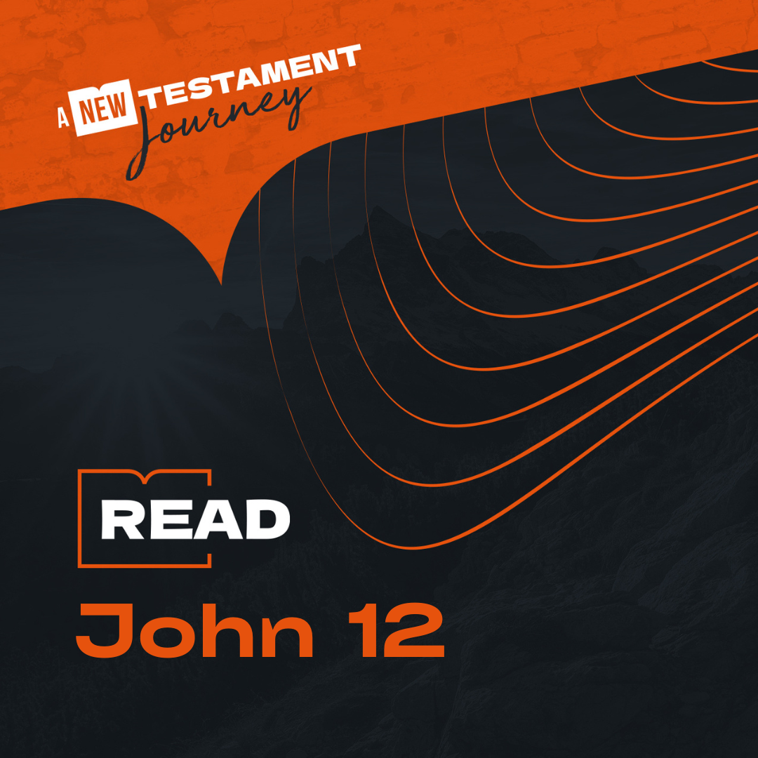 Monday 6th November - John 12