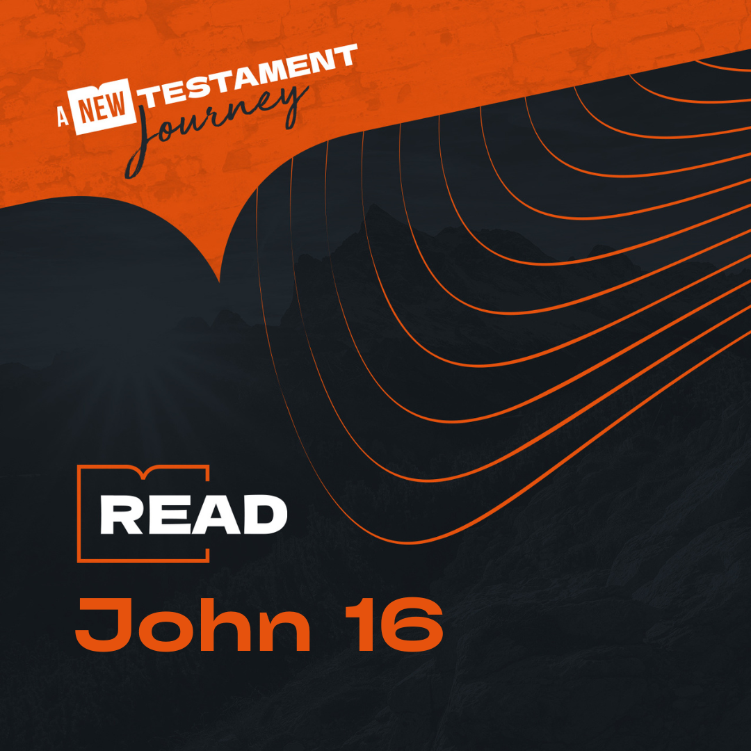 Friday 10th November - John 16