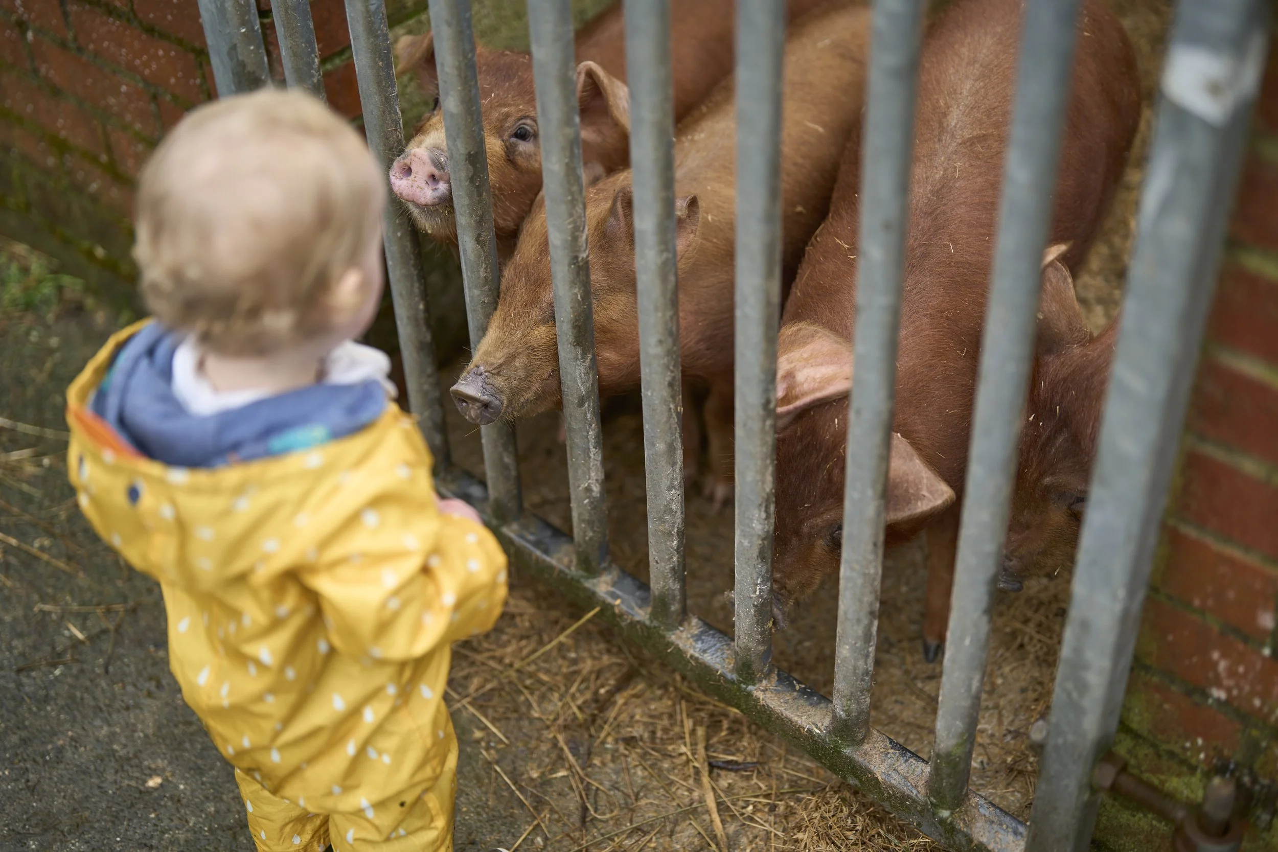 gullivers nursery_428.jpg