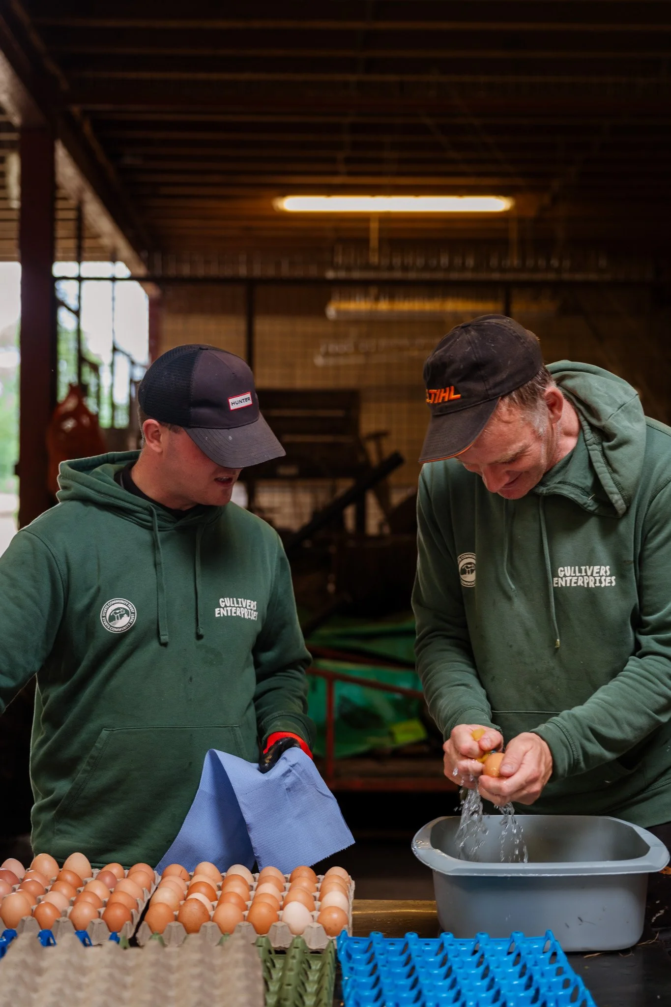 From Hen House to Farm Shop: The Journey of Our Eggs