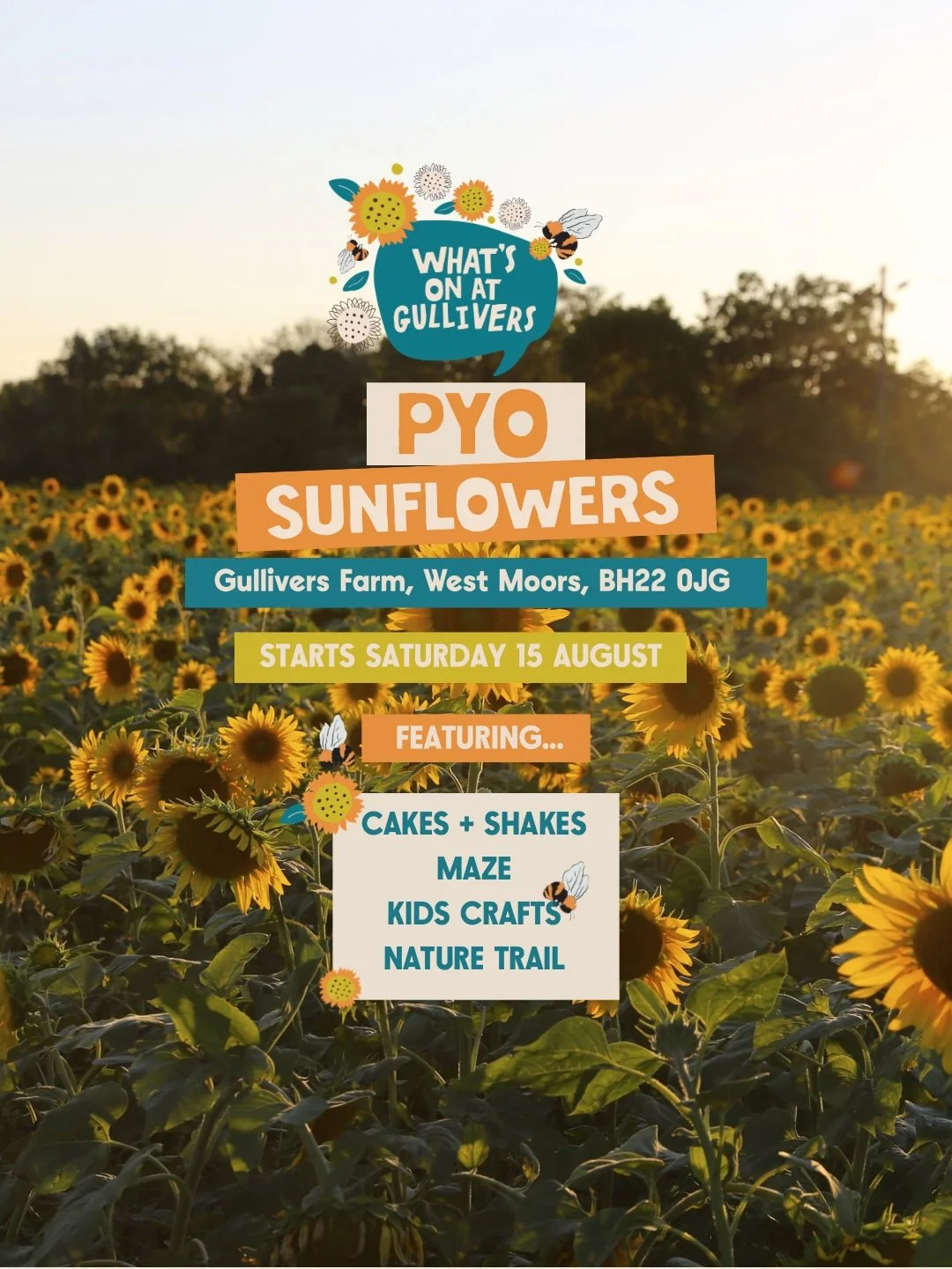 PYO Sunflowers