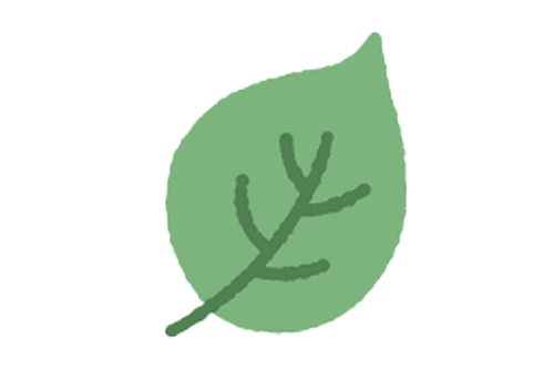 A green leaf with a simple branching vein pattern on a black background.