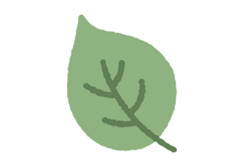 Illustration of a green leaf with a simple vein pattern.