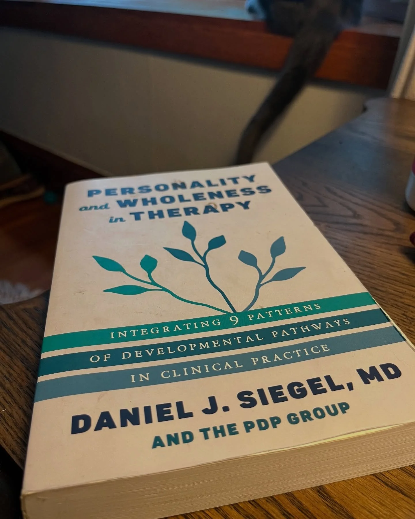Spending some of this lovely weekend with Dr. Dan Siegel’s ‘Personality & Wholeness in Therapy.’ @drdansiegel This book is a brilliant take on integrating the 9 patterns of developmental pathways into the practice of therapy.