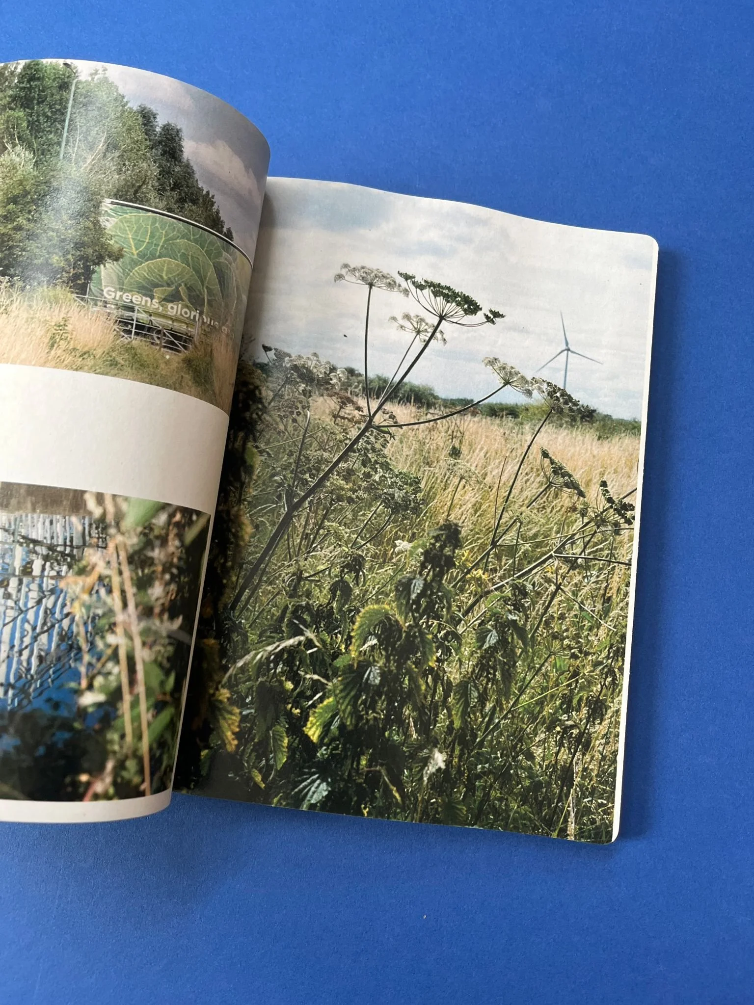 WhatsApp Image 2025-07-02 at 12.43.22 (3).jpeg