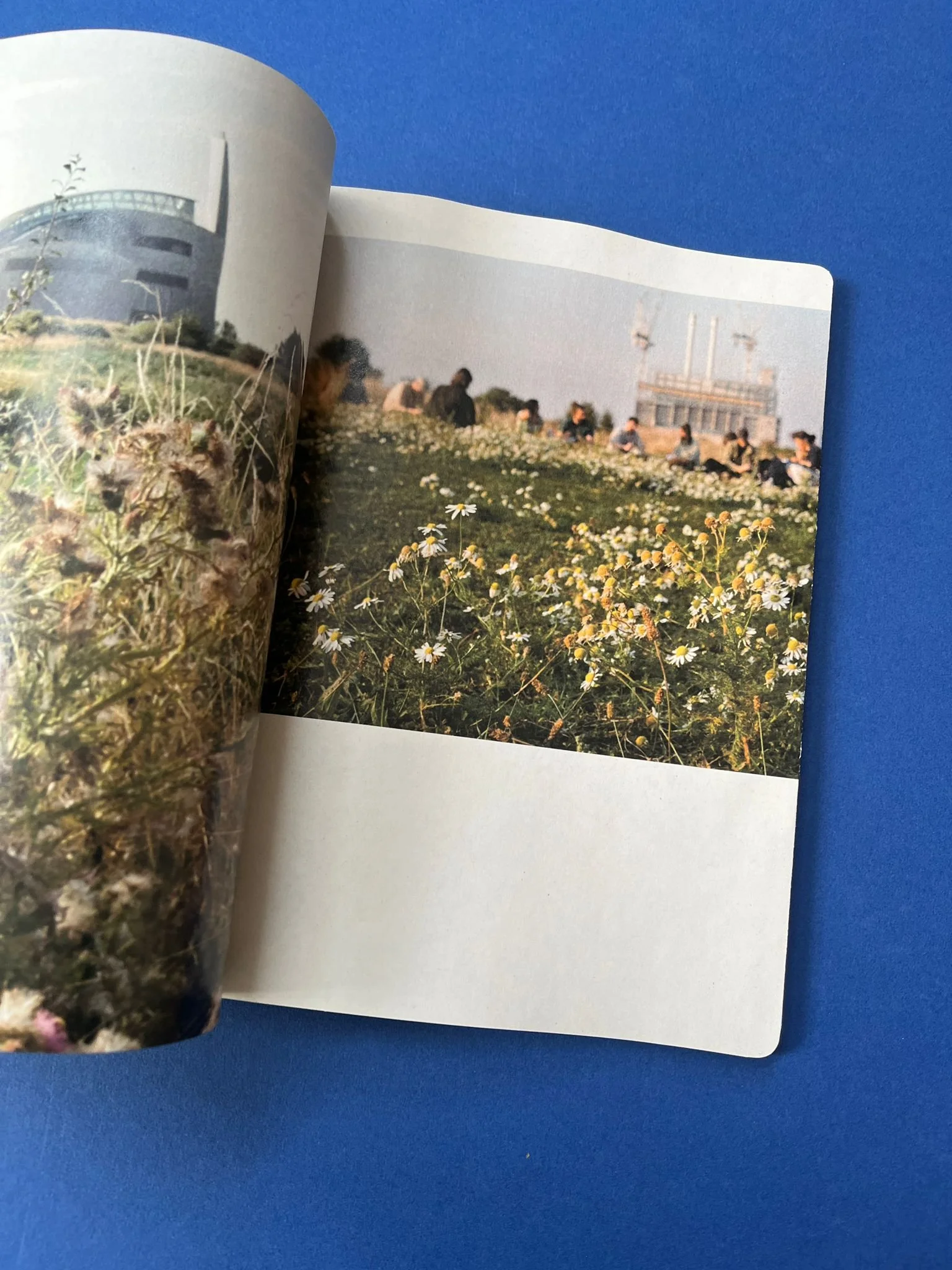 WhatsApp Image 2025-07-02 at 12.42.46.jpeg