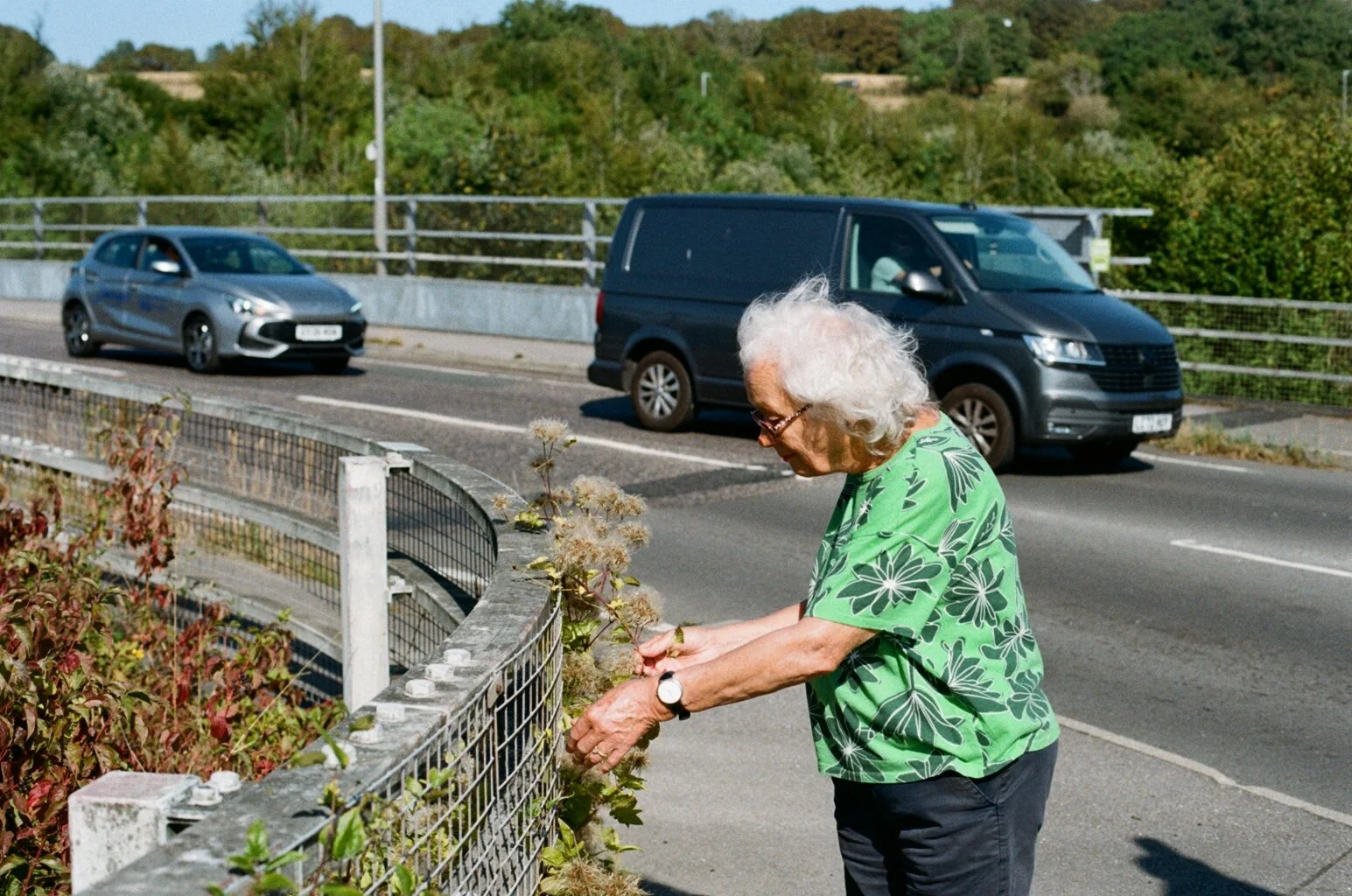50640035.JPG