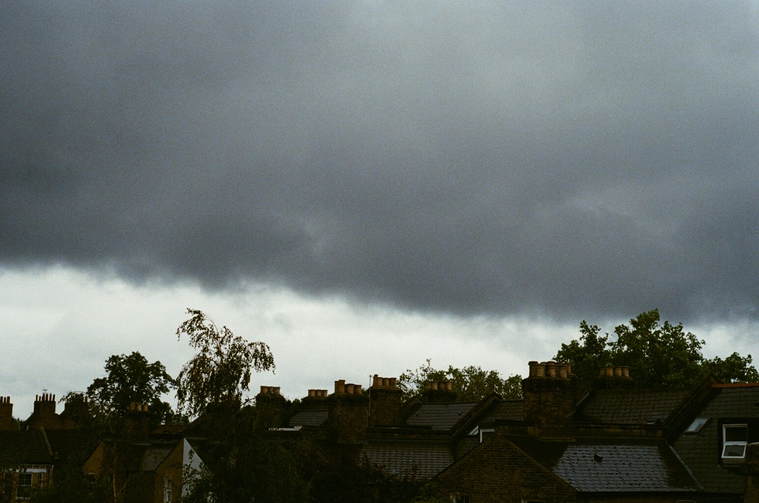 50530003.JPG