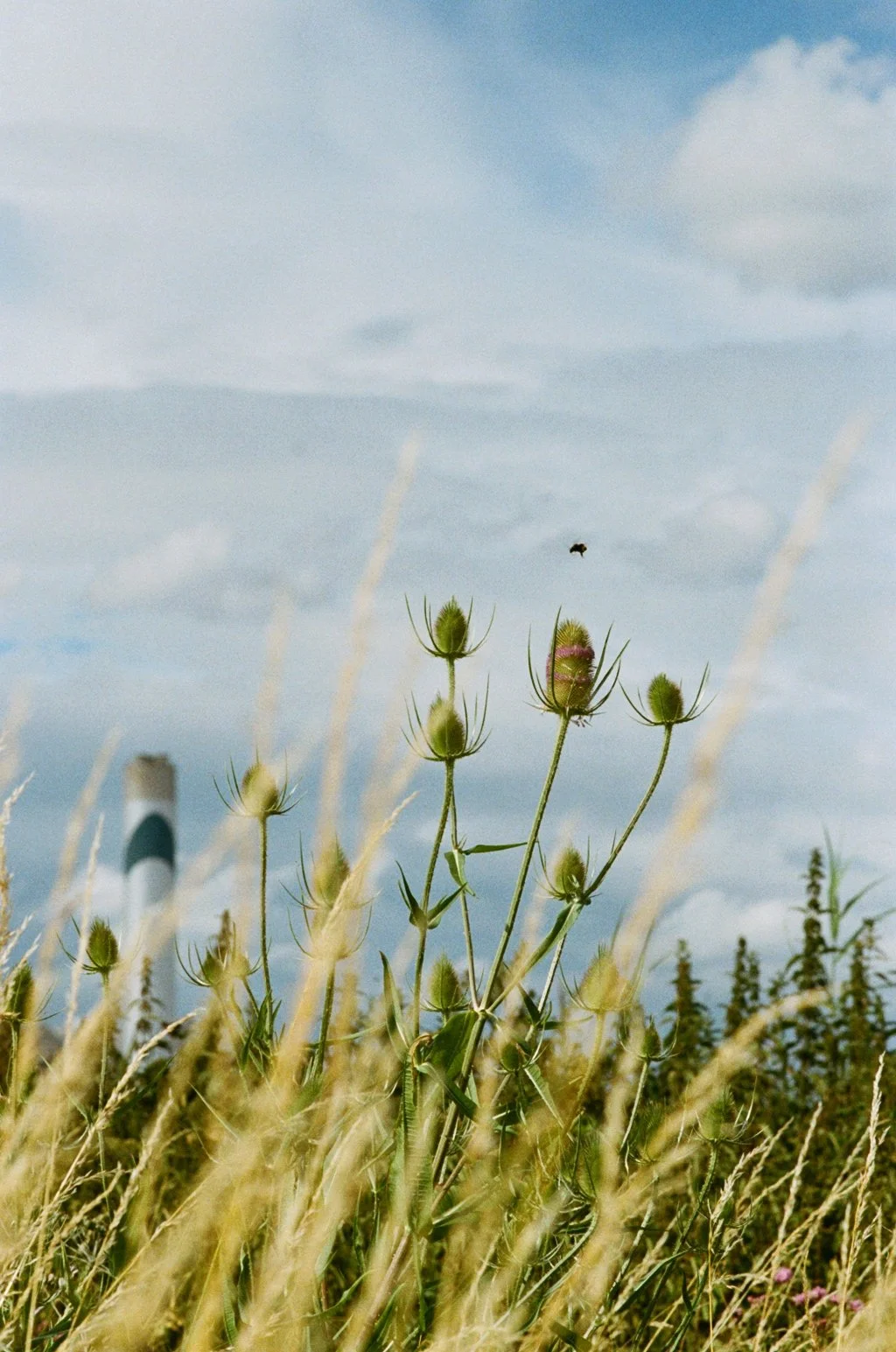 Crossness 1307245.JPG