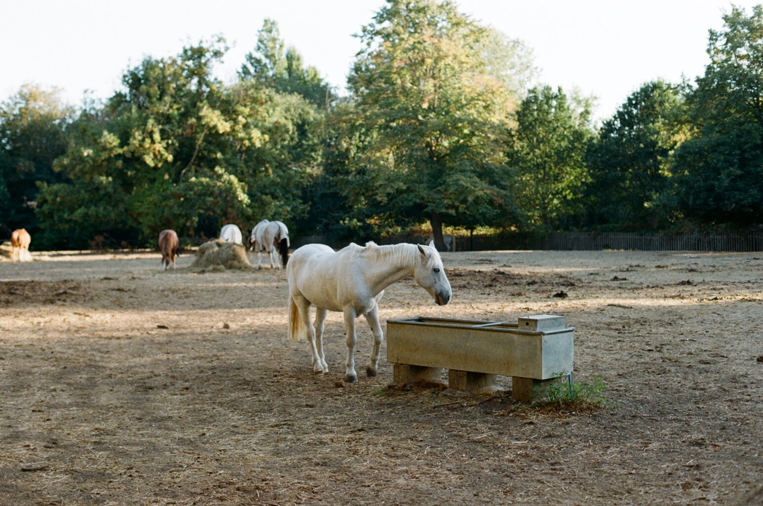 50640029.JPG
