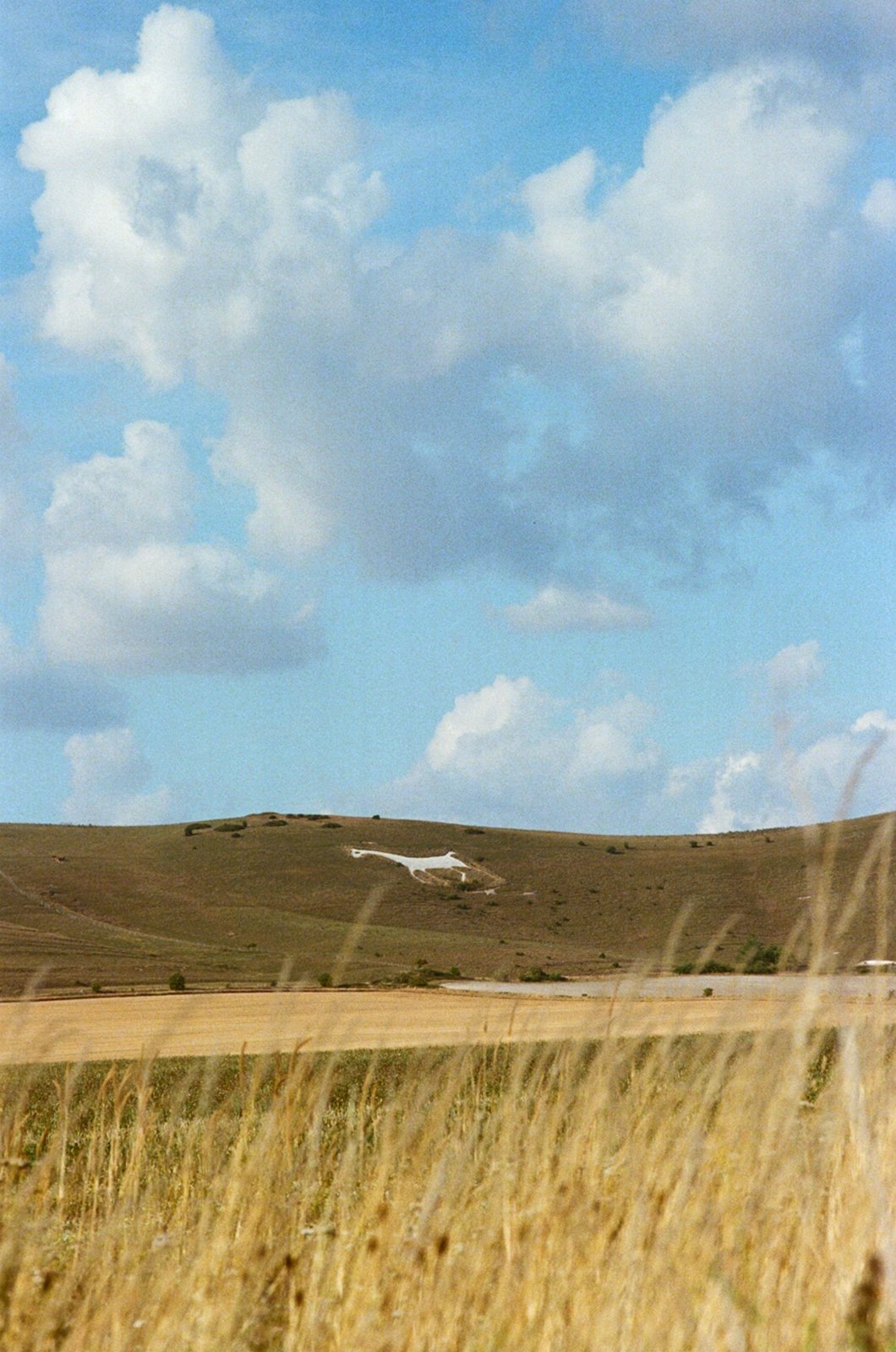 Postcard3.jpg