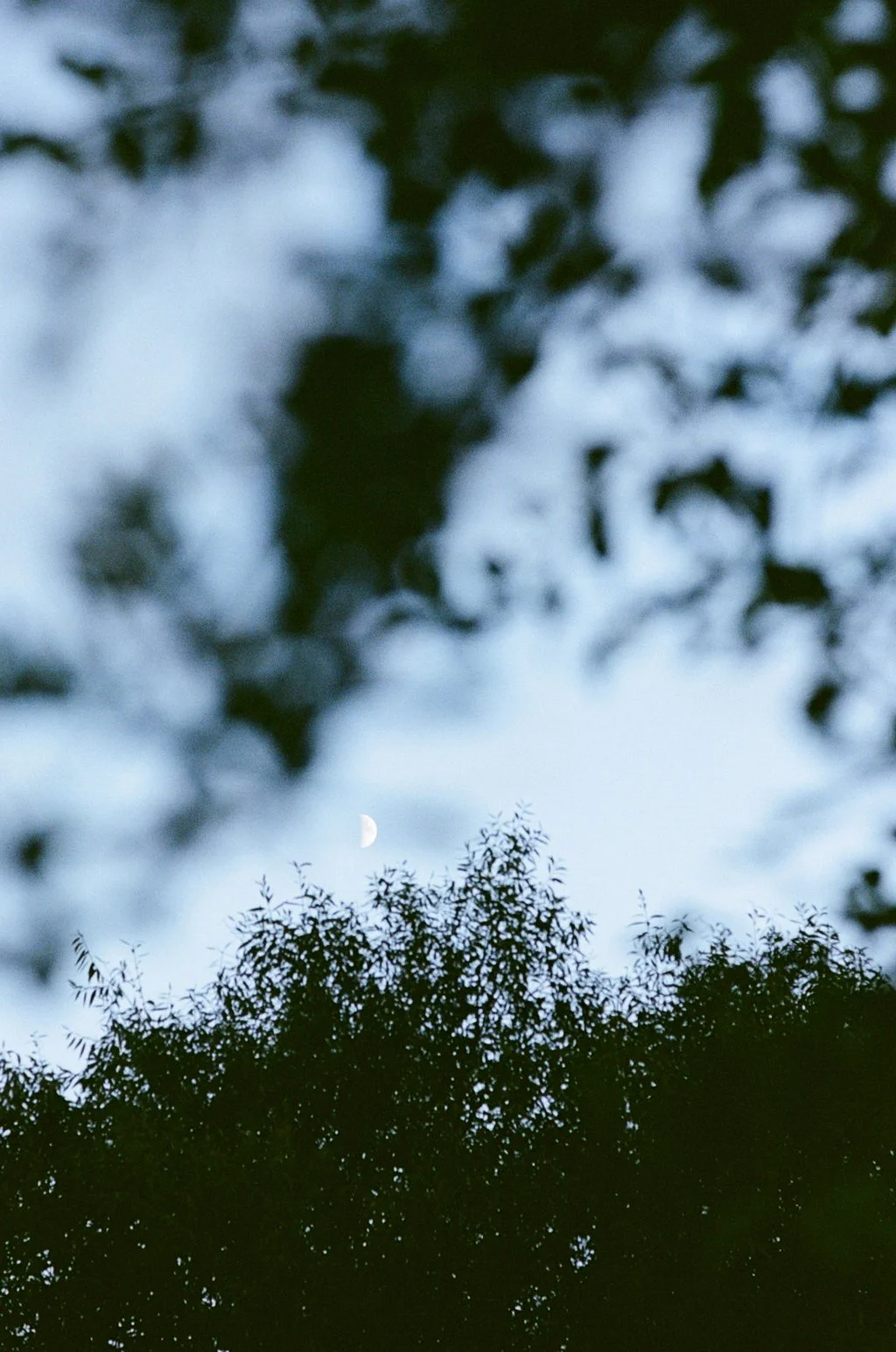 Crossness 13072493.JPG