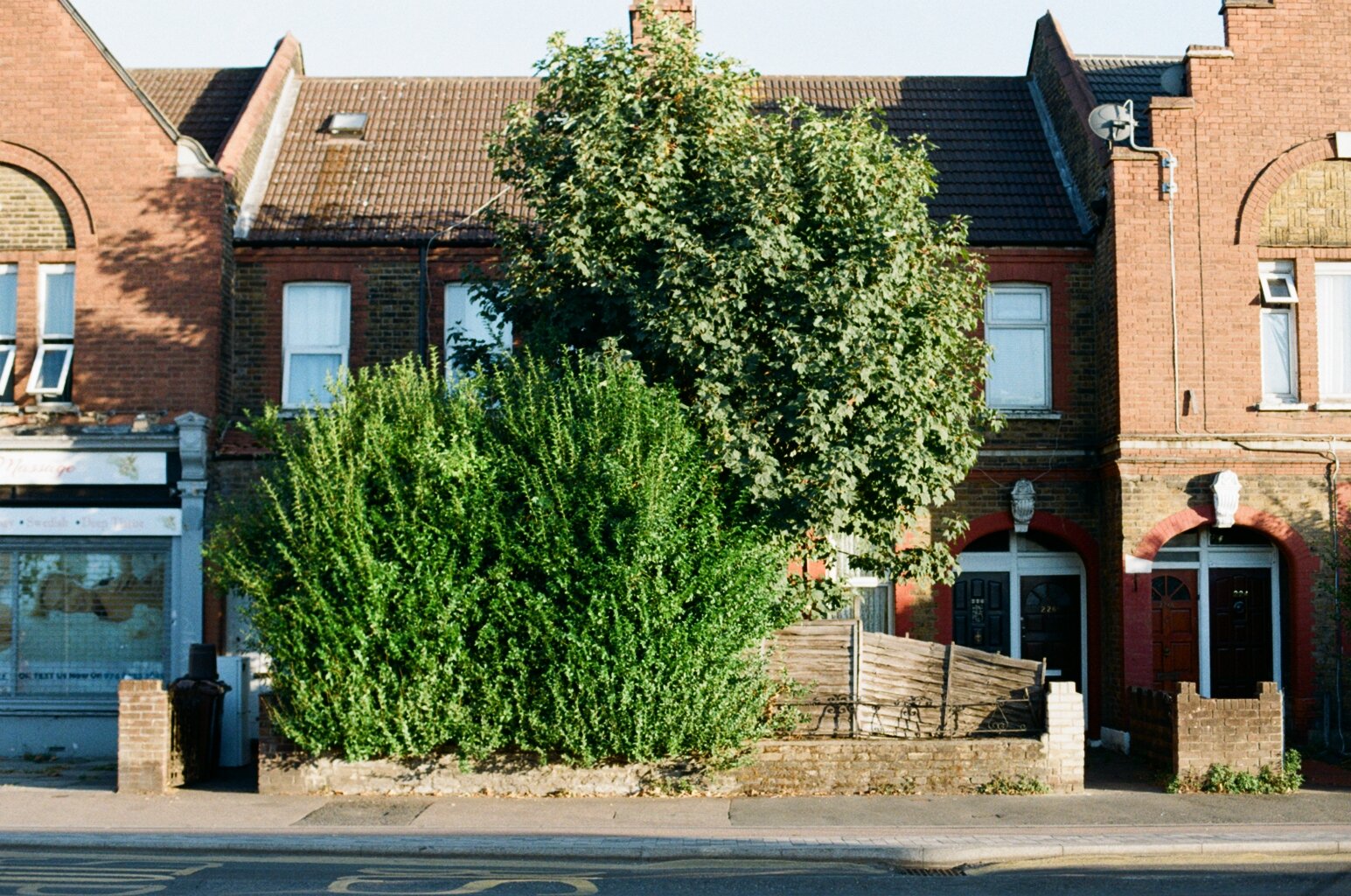 50640027.JPG