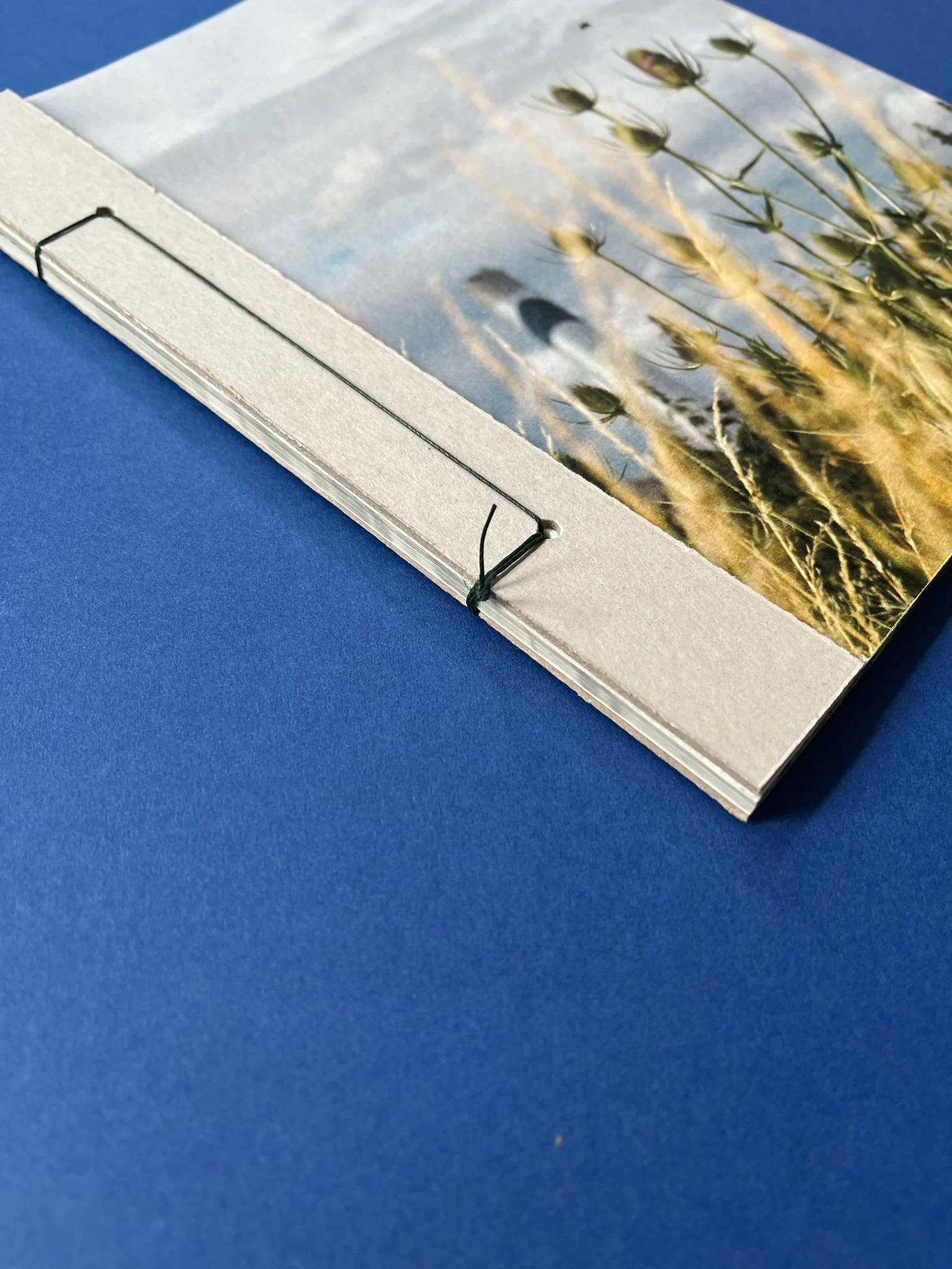 WhatsApp Image 2025-07-02 at 12.43.18 (2).jpeg