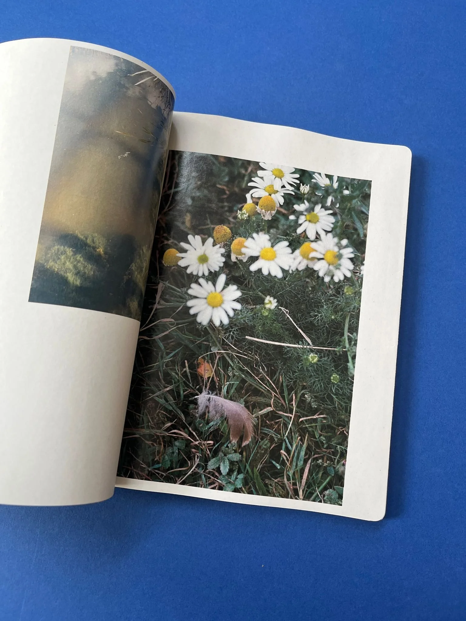 WhatsApp Image 2025-07-02 at 12.43.22 (4).jpeg