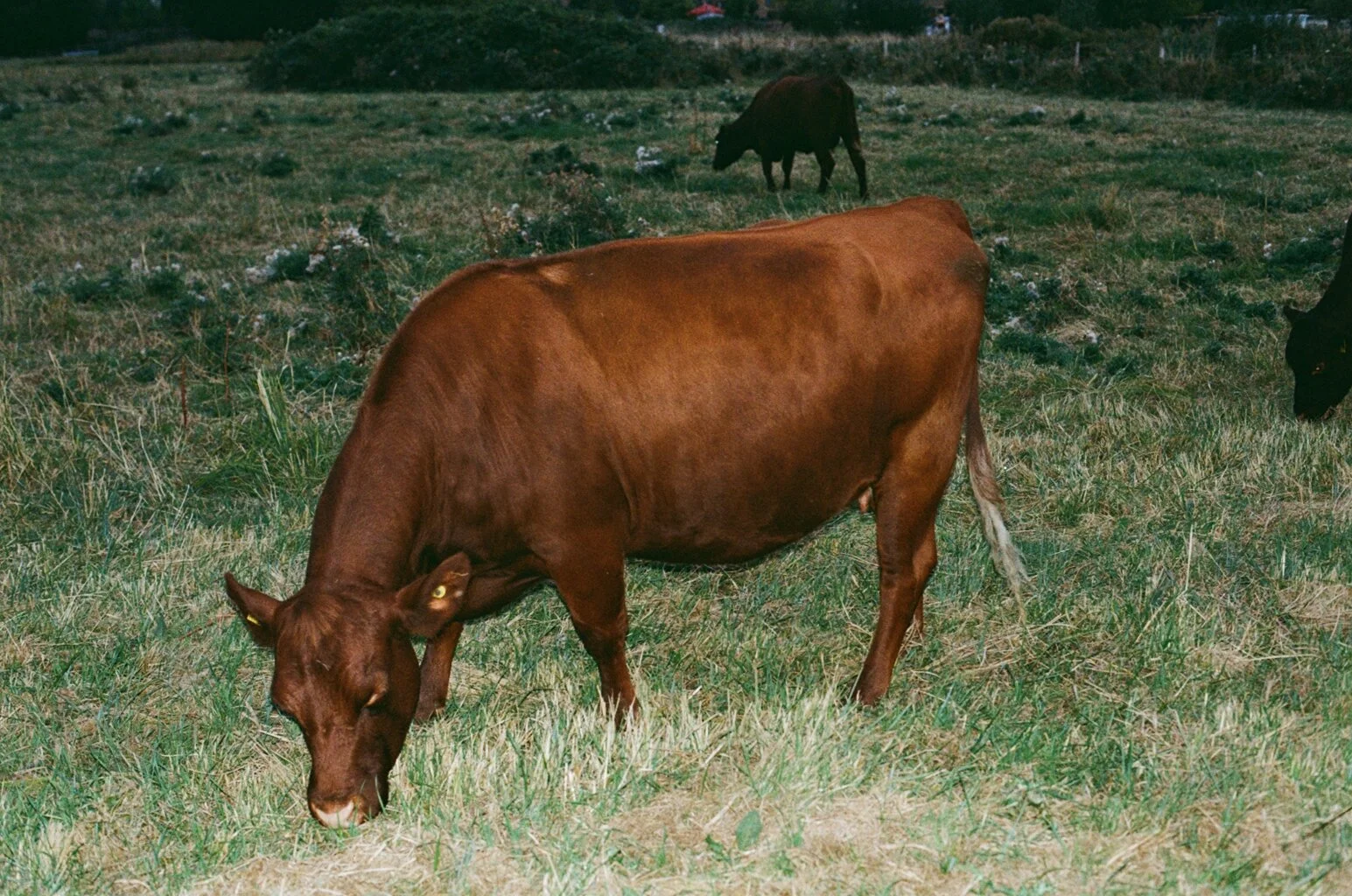 50640009.JPG