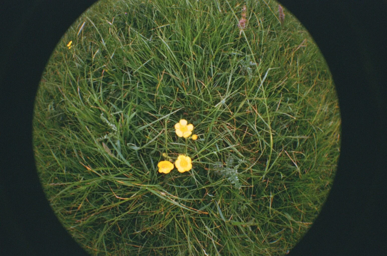 87170007.JPG