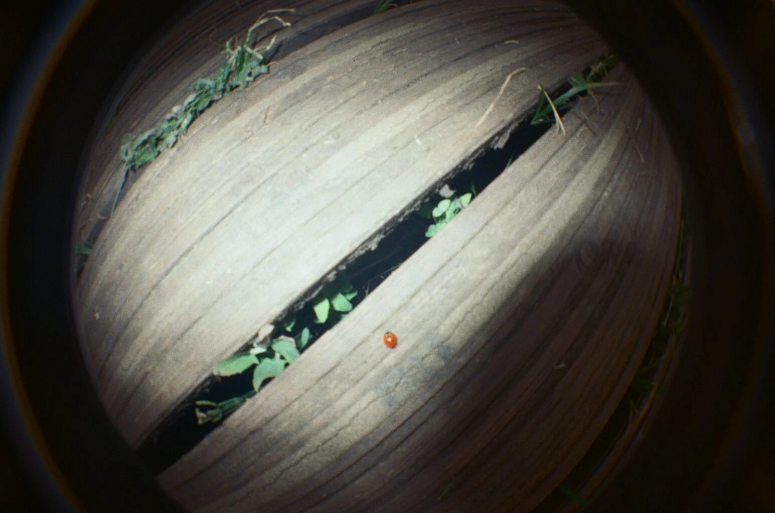 87170008.JPG