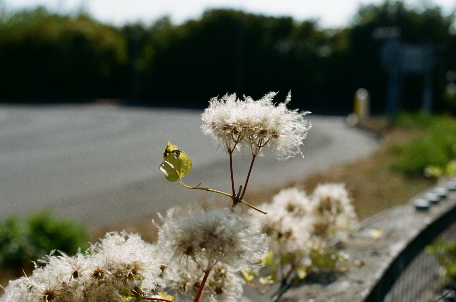 50640036.JPG