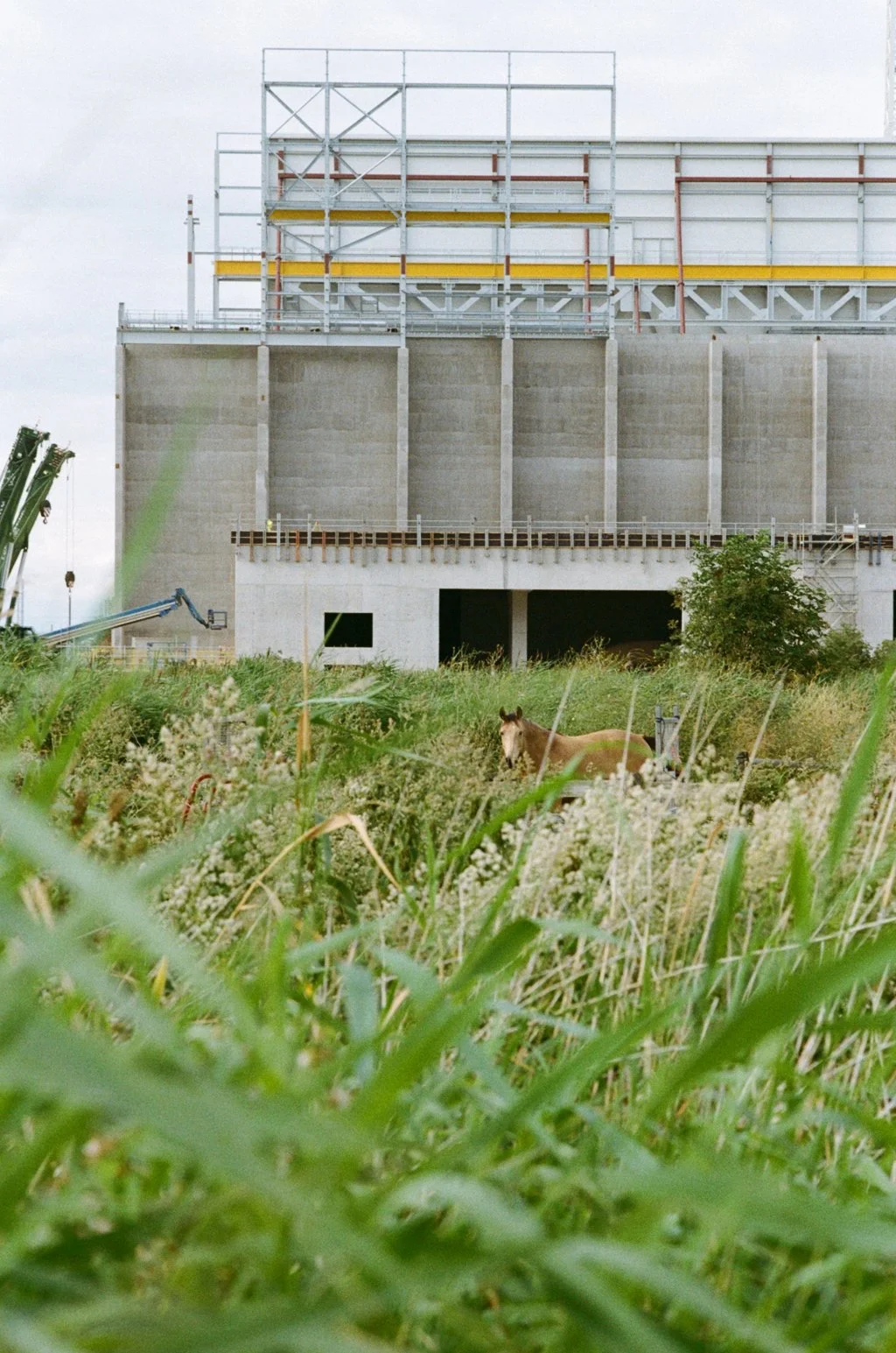 Crossness 13072440.JPG
