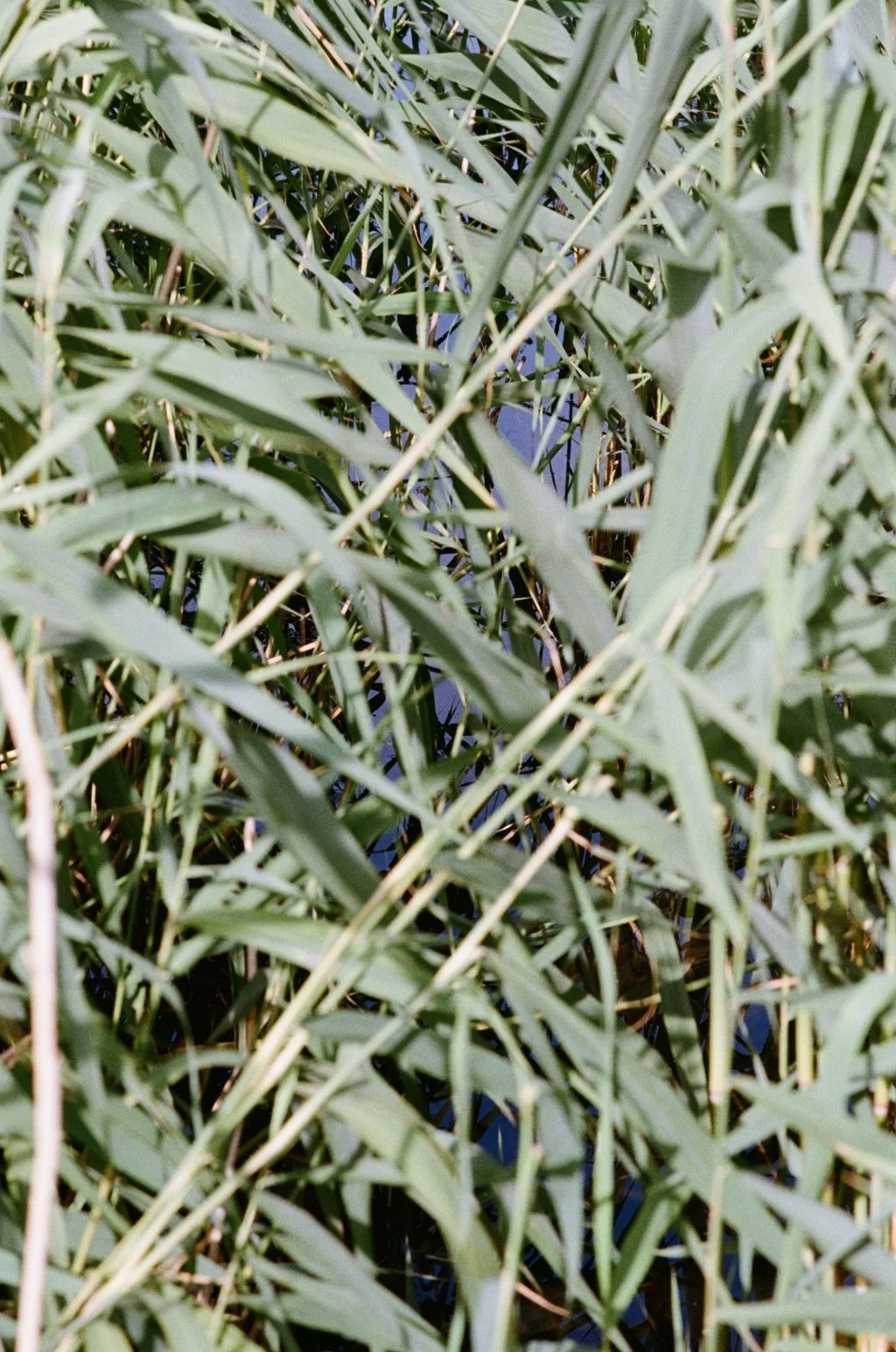 Crossness 13072427.JPG